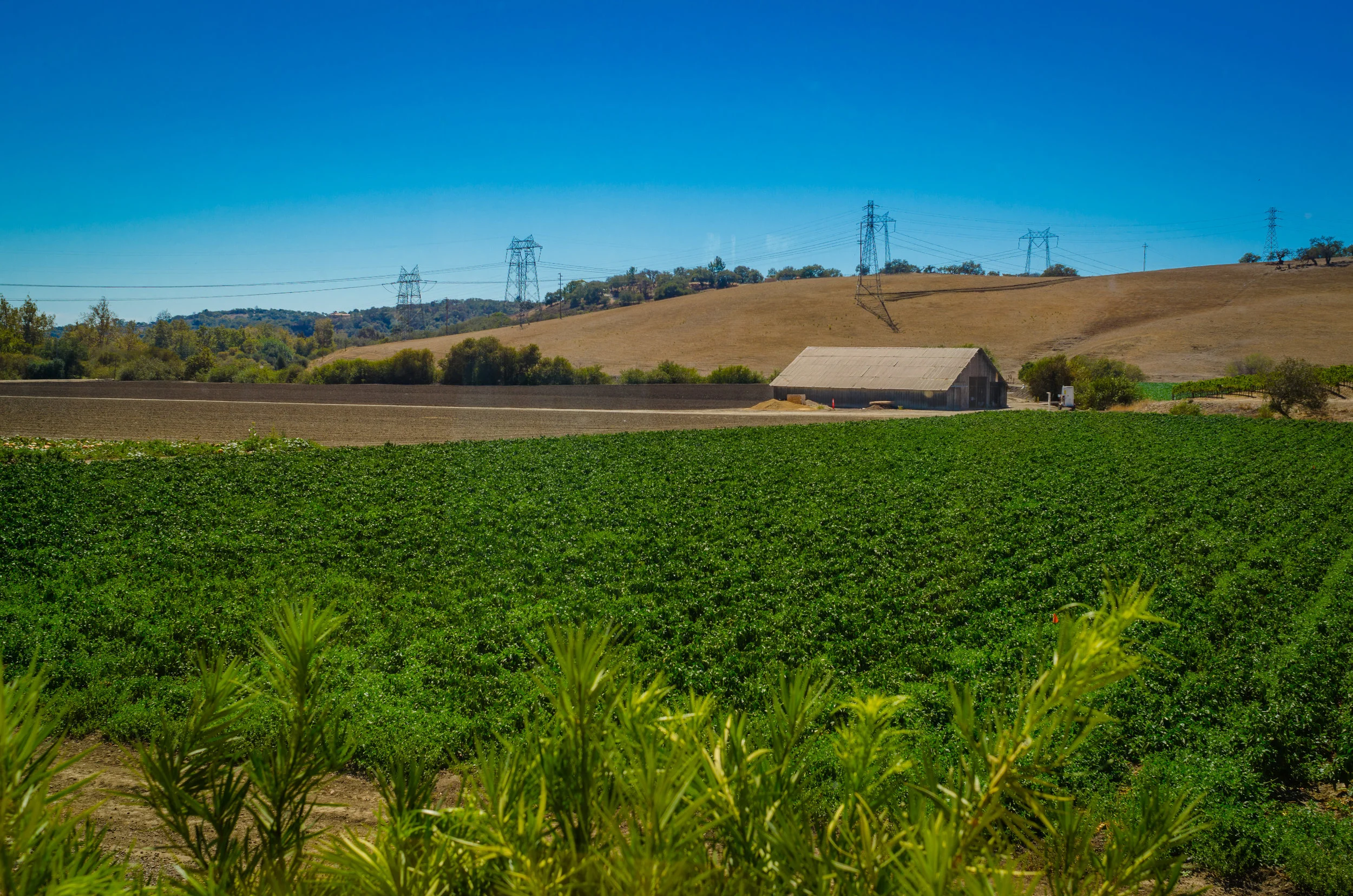 Landscape (1 of 1)-2.jpg