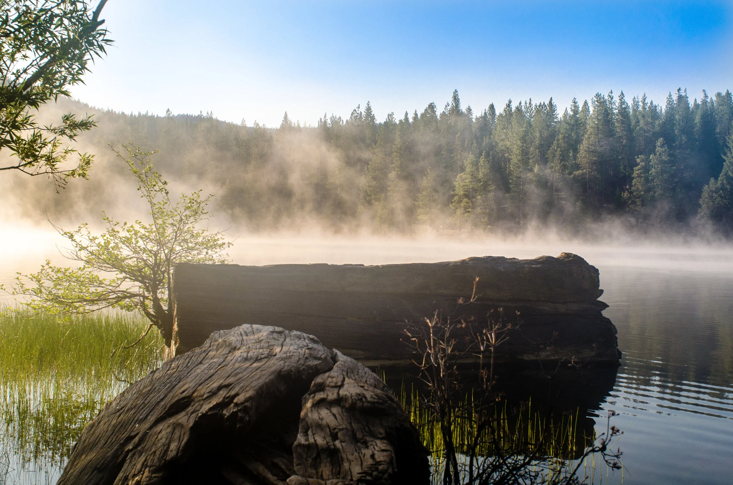 Landscape (2 of 2).jpg