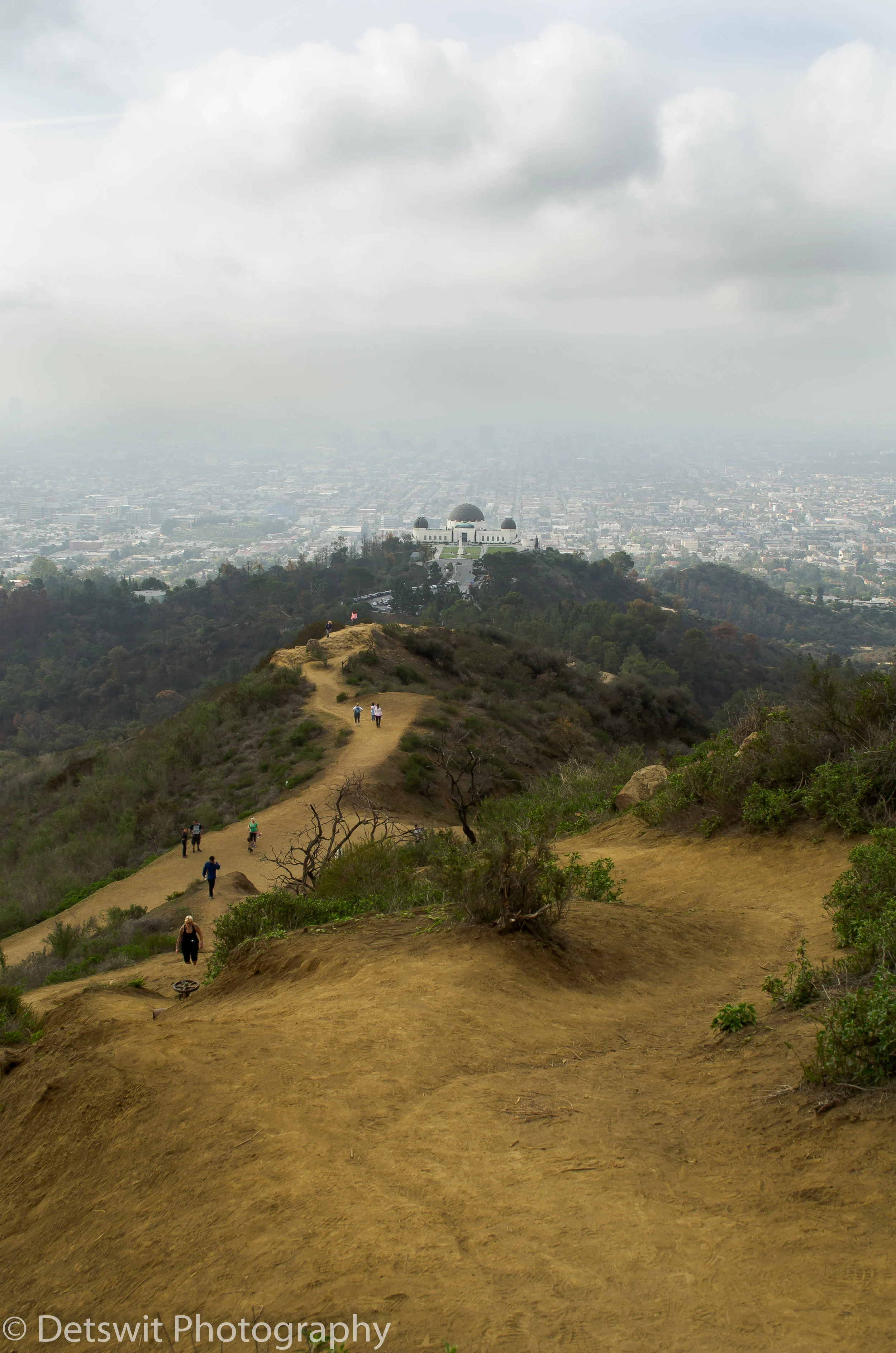 Landscape 2.jpg