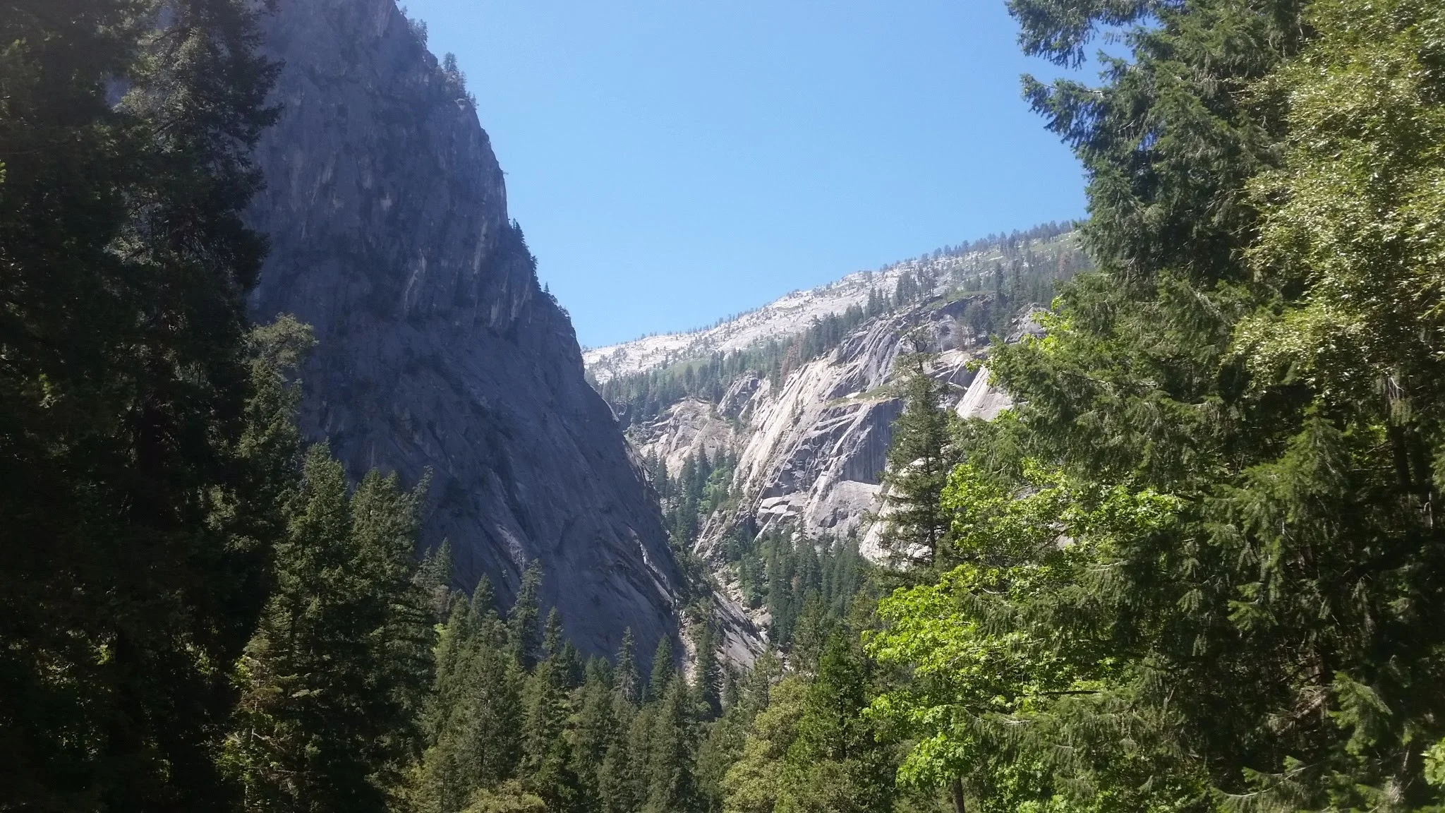 20160717_114245.jpg