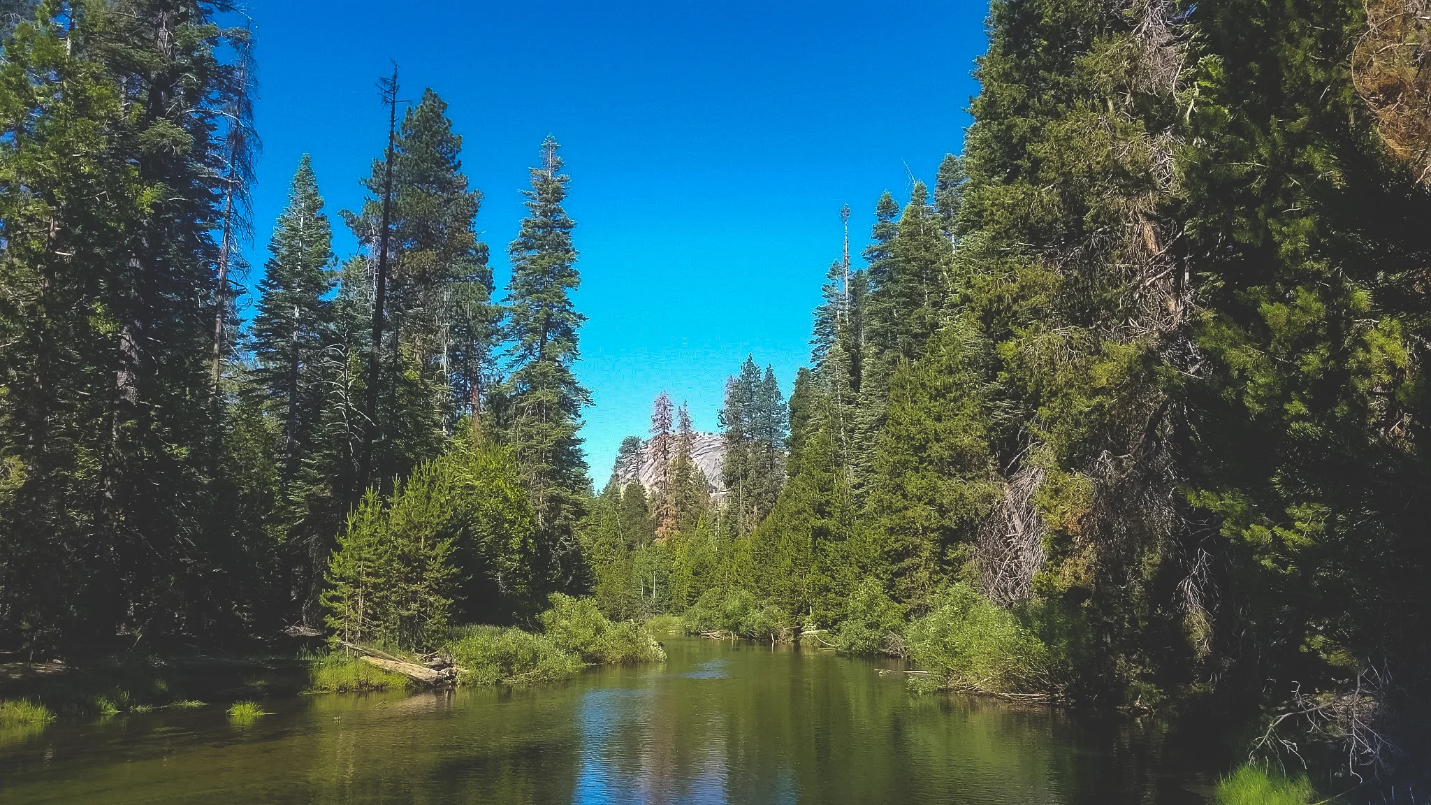 Near Little Yosemite Valley campground where we filtered water the first night and morning. You can see Half Dome half-hidden by trees in the background. The very last picture in the d ay 1 post of the moon was taken at this spot but 180 degrees behind me.