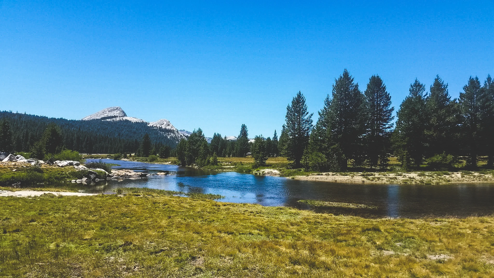 Shoutout to the family who gave us homemade cookies as we exited the trailhead into Tuolumne.