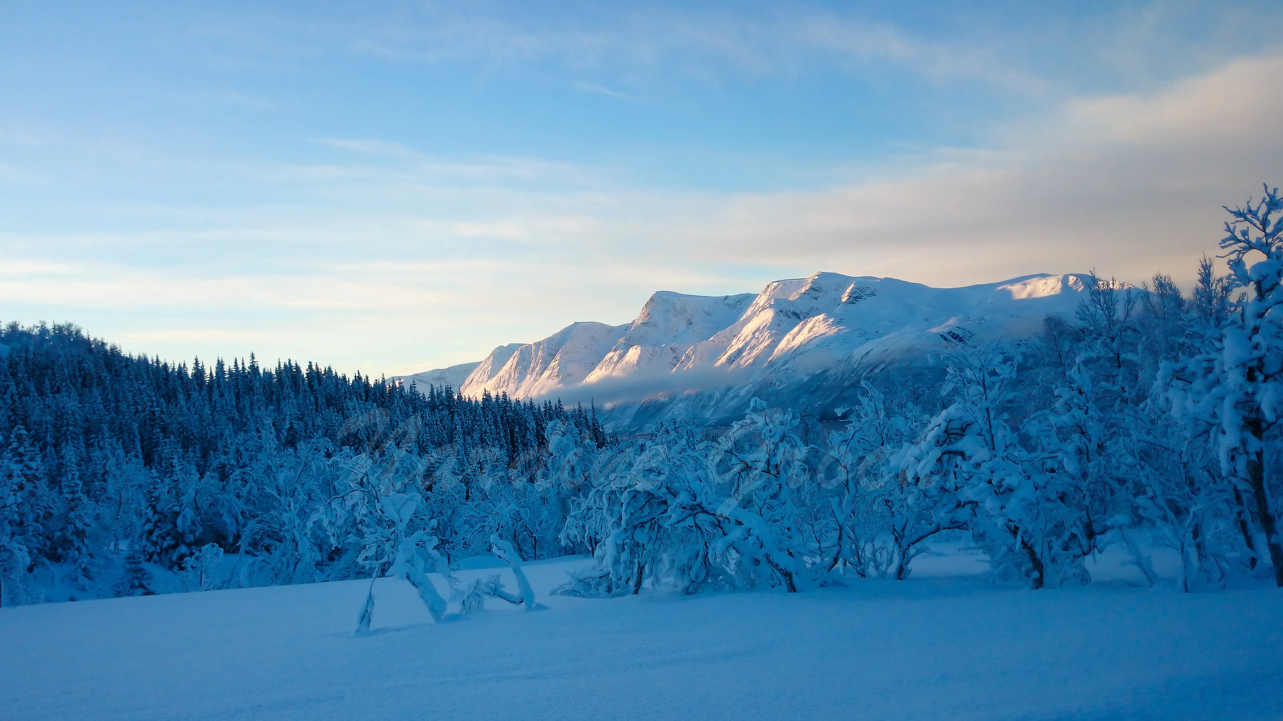 Wilderness, Norway