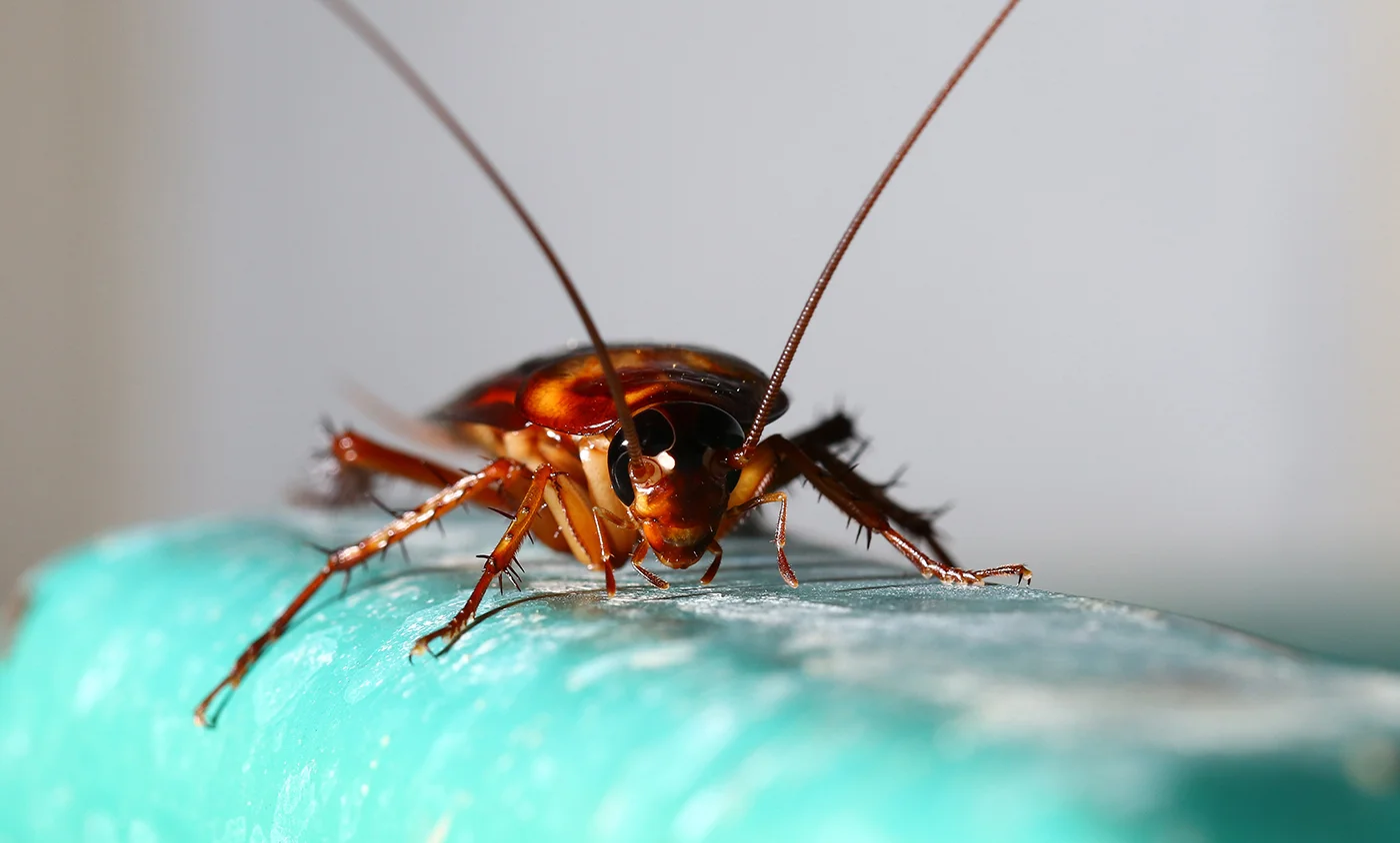 shutterstock_372457123.jpg