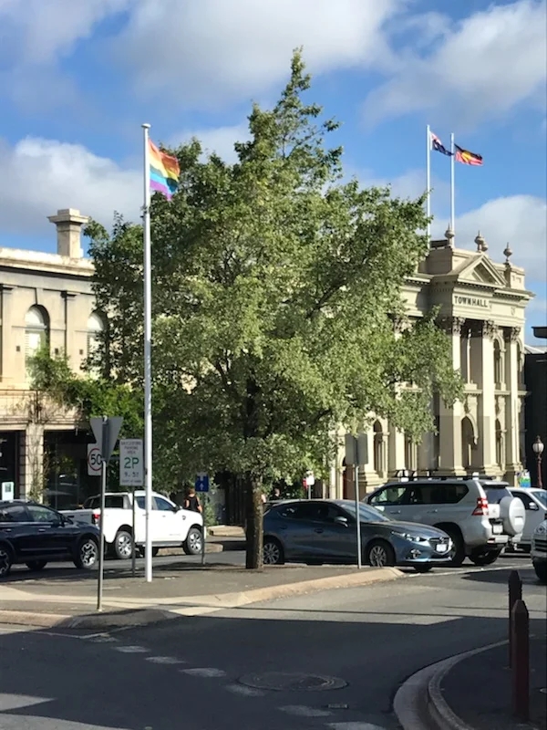 Vincent Street flag pole, 2017