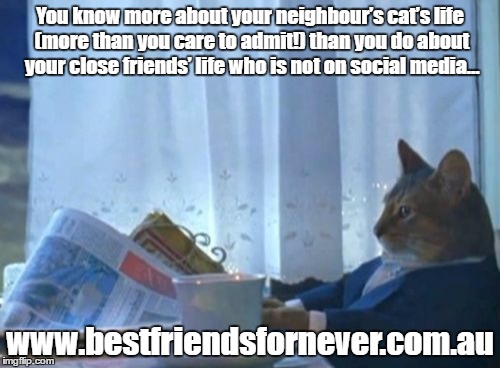 Anyone else have a crazy cat lady in their lives?!