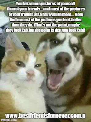 Who's selfie do you think this is? I'm going with the cat... 