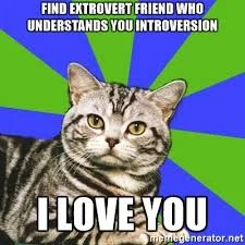 I love you introvert.jpg