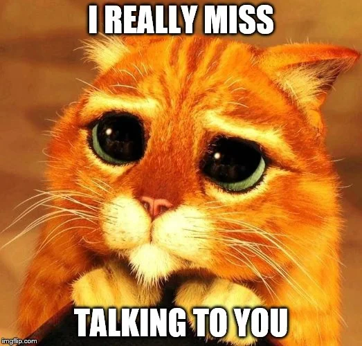 miss talking to you.jpg