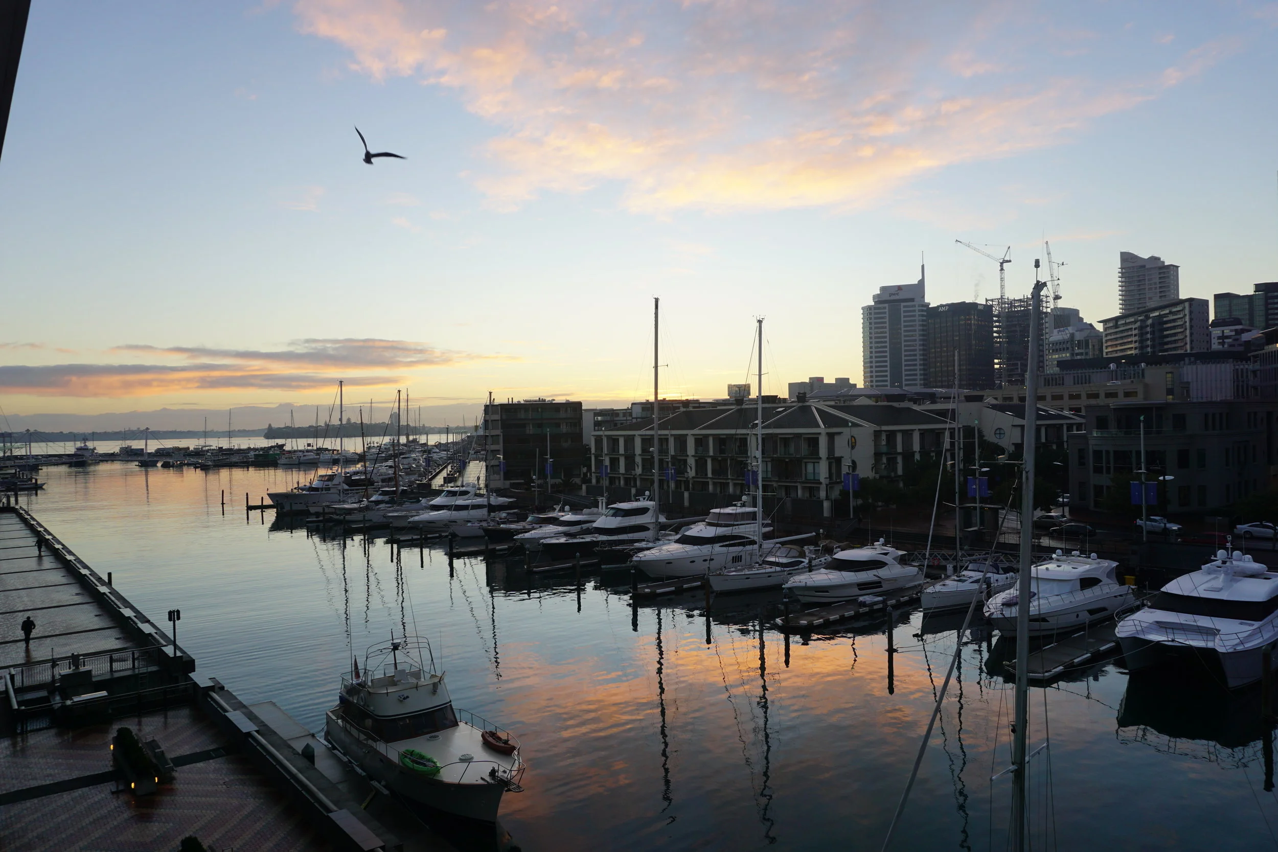 Hotlist: New Zealand