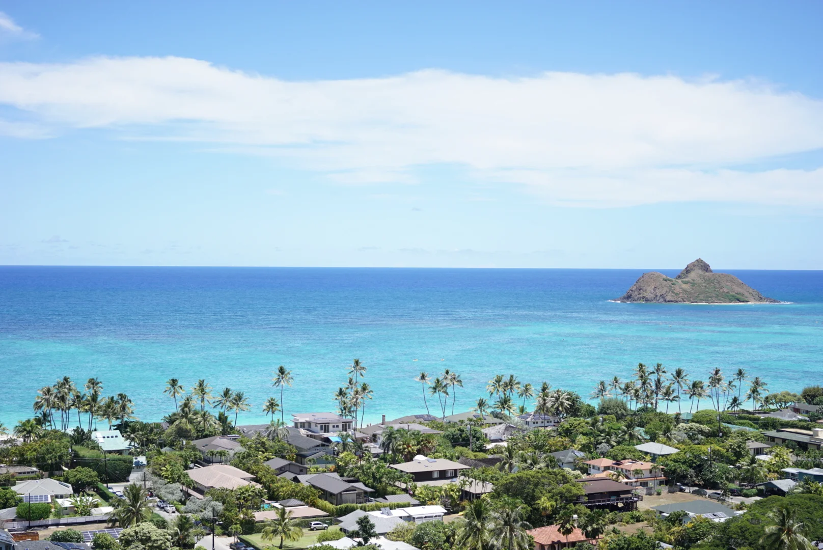 LRG_DSC04977 copy.jpg