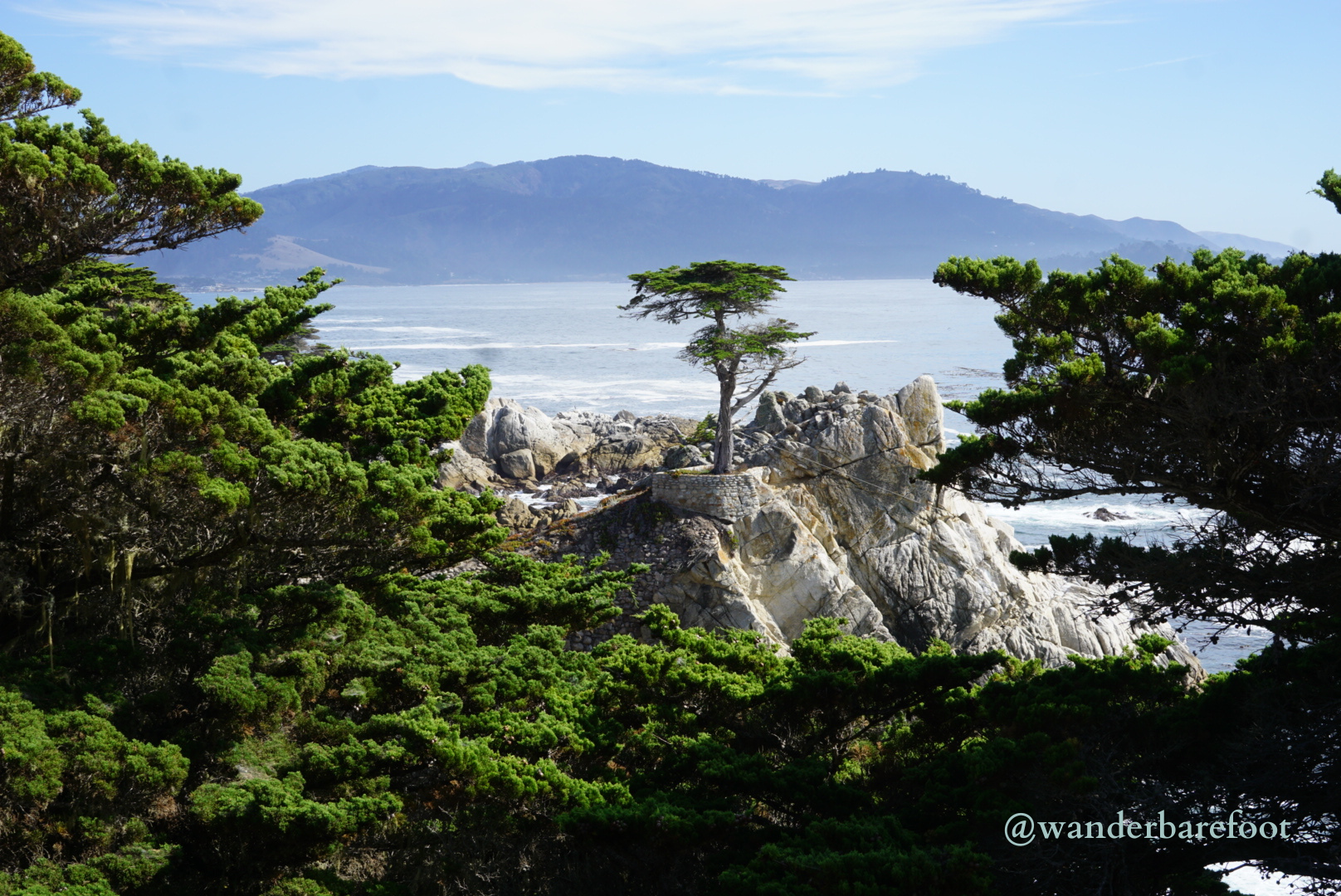 Thank you for booking with me..png