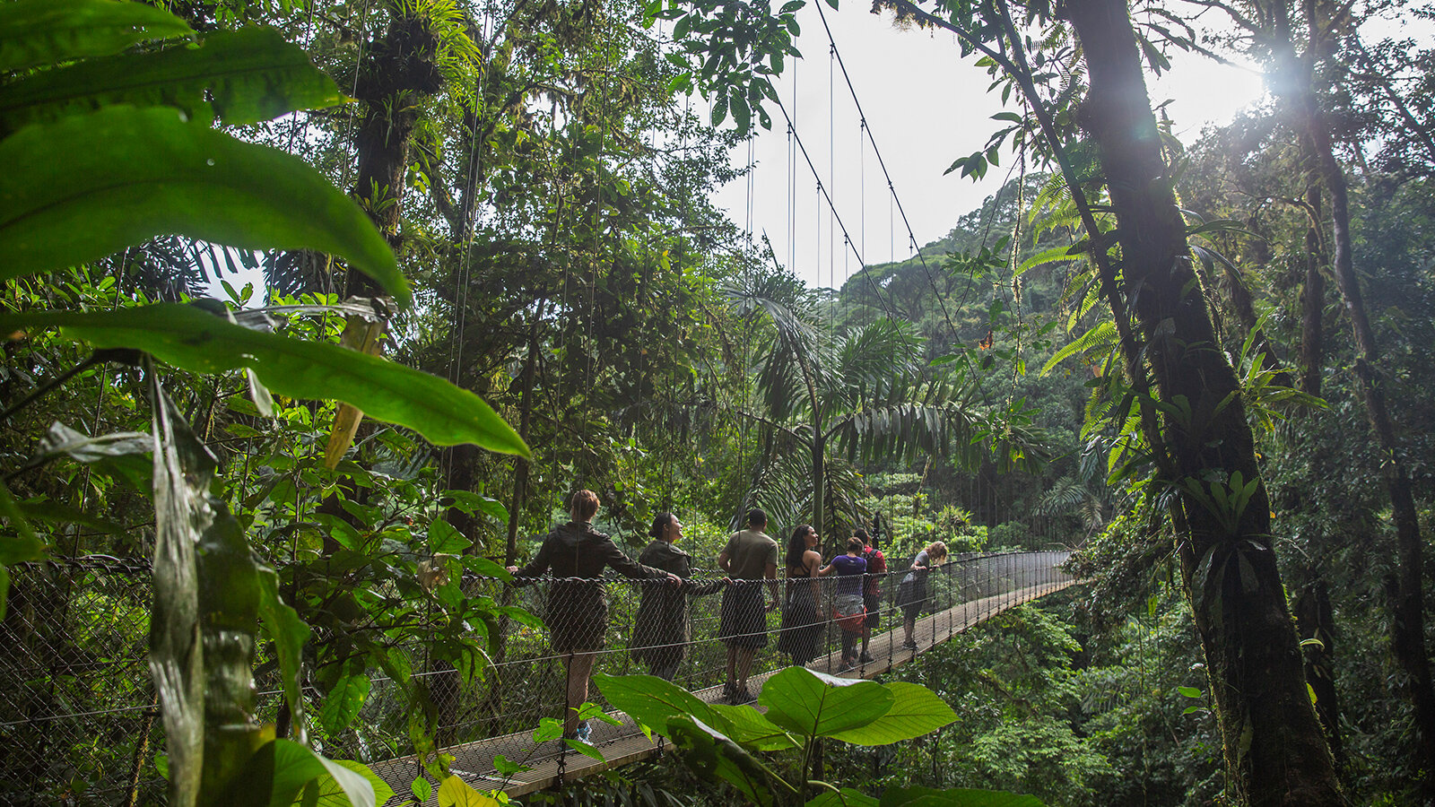 a0fa819fd467__Costa_Rica_La_Fortuna_Suspension_Bridge_Jungle_Travellers_Local_Guide_CEO_Group_Wide_-_2018_0W3A5860_Lg_RGB.jpeg