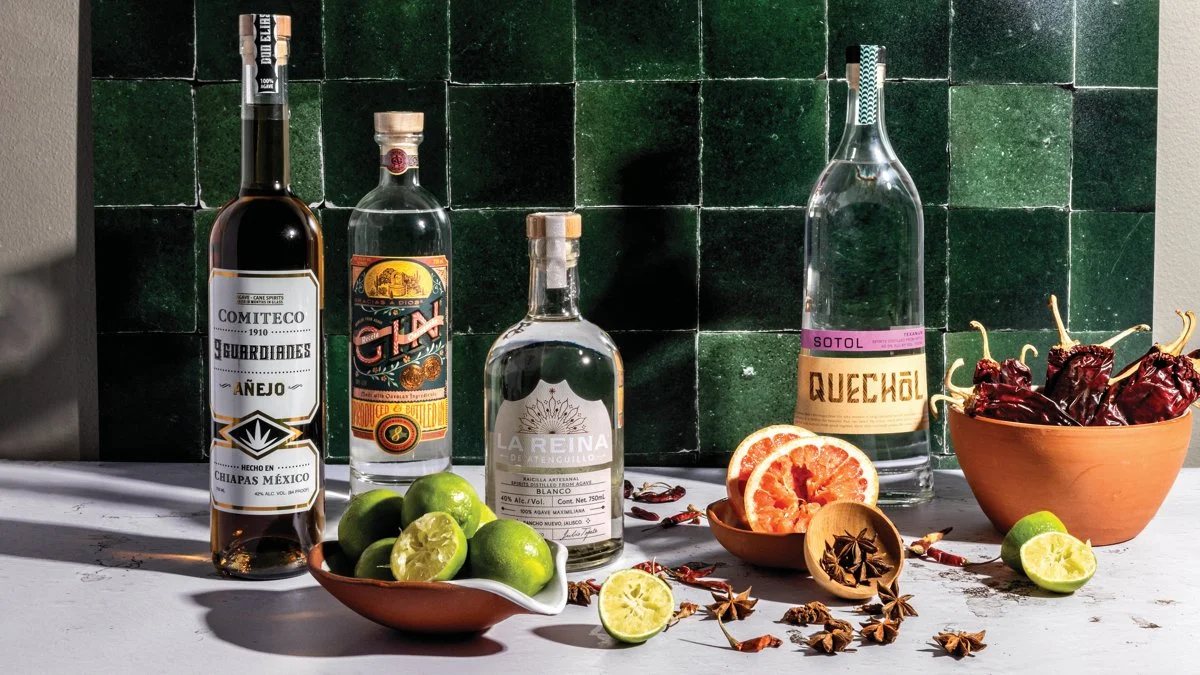 Discover Mexico: Exploring the Diversity of Agave Spirits