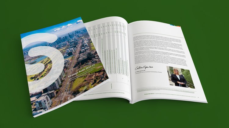 CES24_Portfolio_Strategic-Audit.jpg