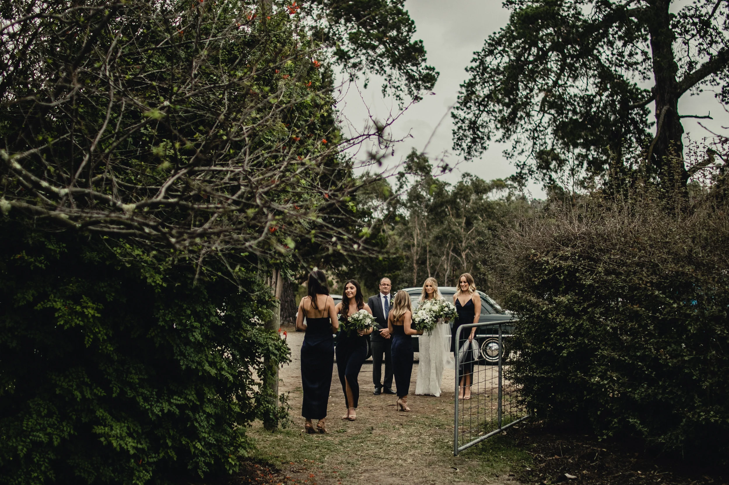 Caitlin_James_Wedding_Andy-243.jpg