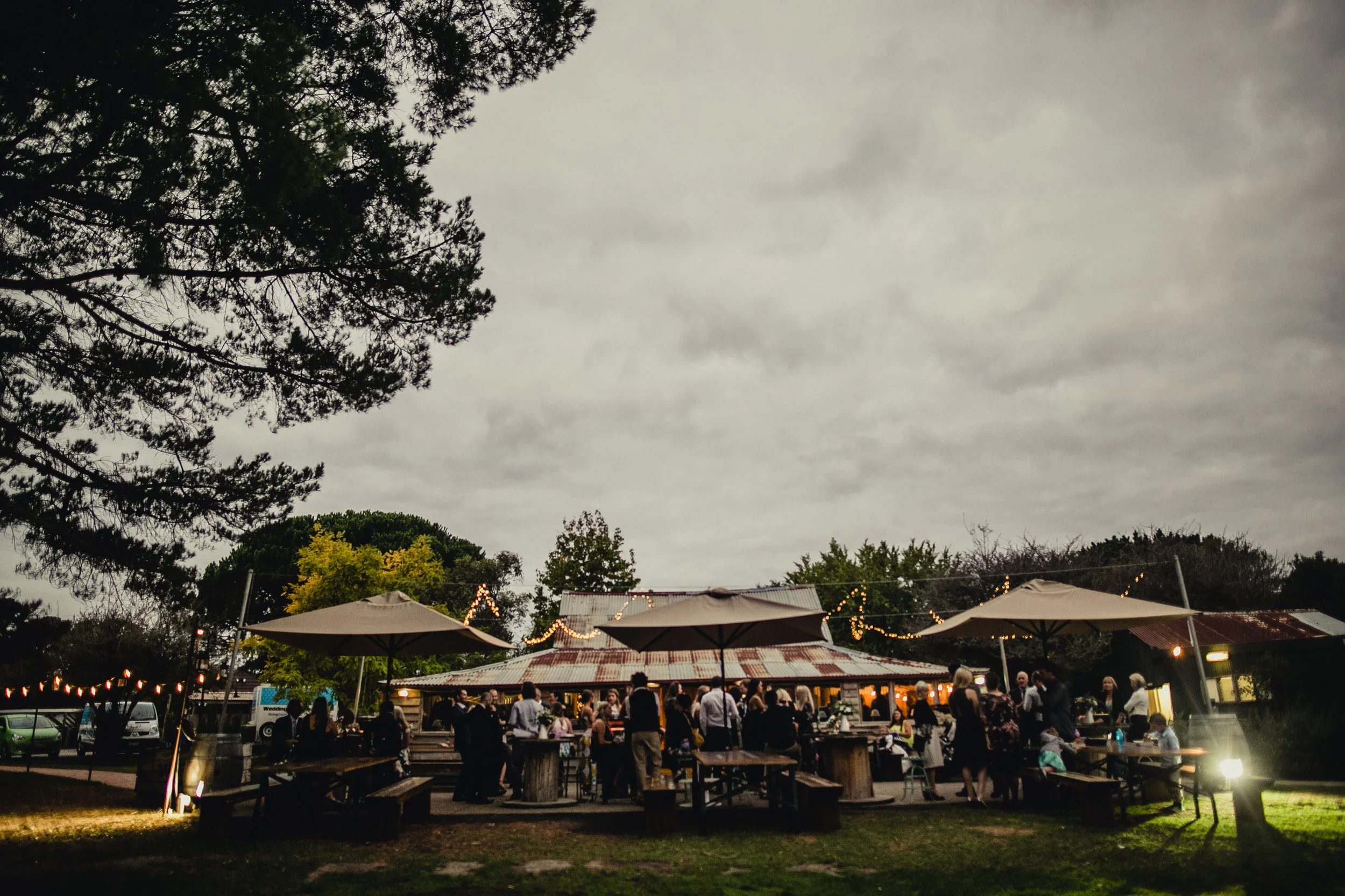 Caitlin_James_Wedding_Andy-672.jpg