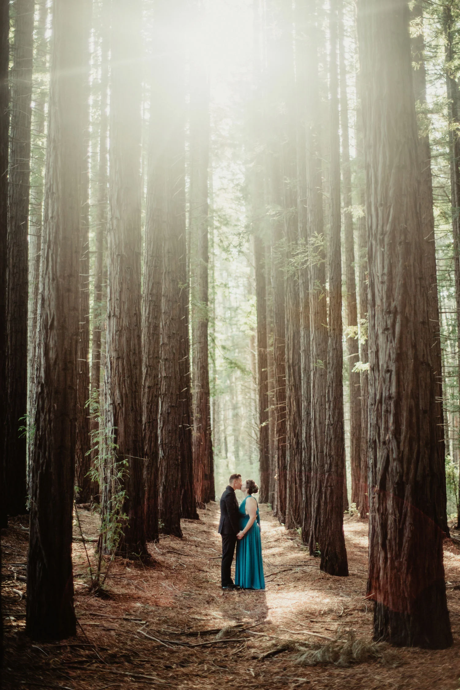 050-redwood-forest-warburton-wedding.jpg
