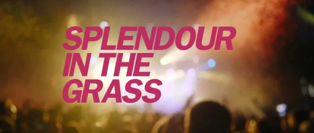 Splendour In the Grass