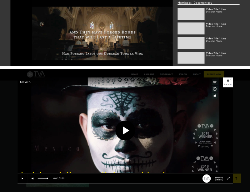 Embedded video player (Top), Modal video player (Bottom)