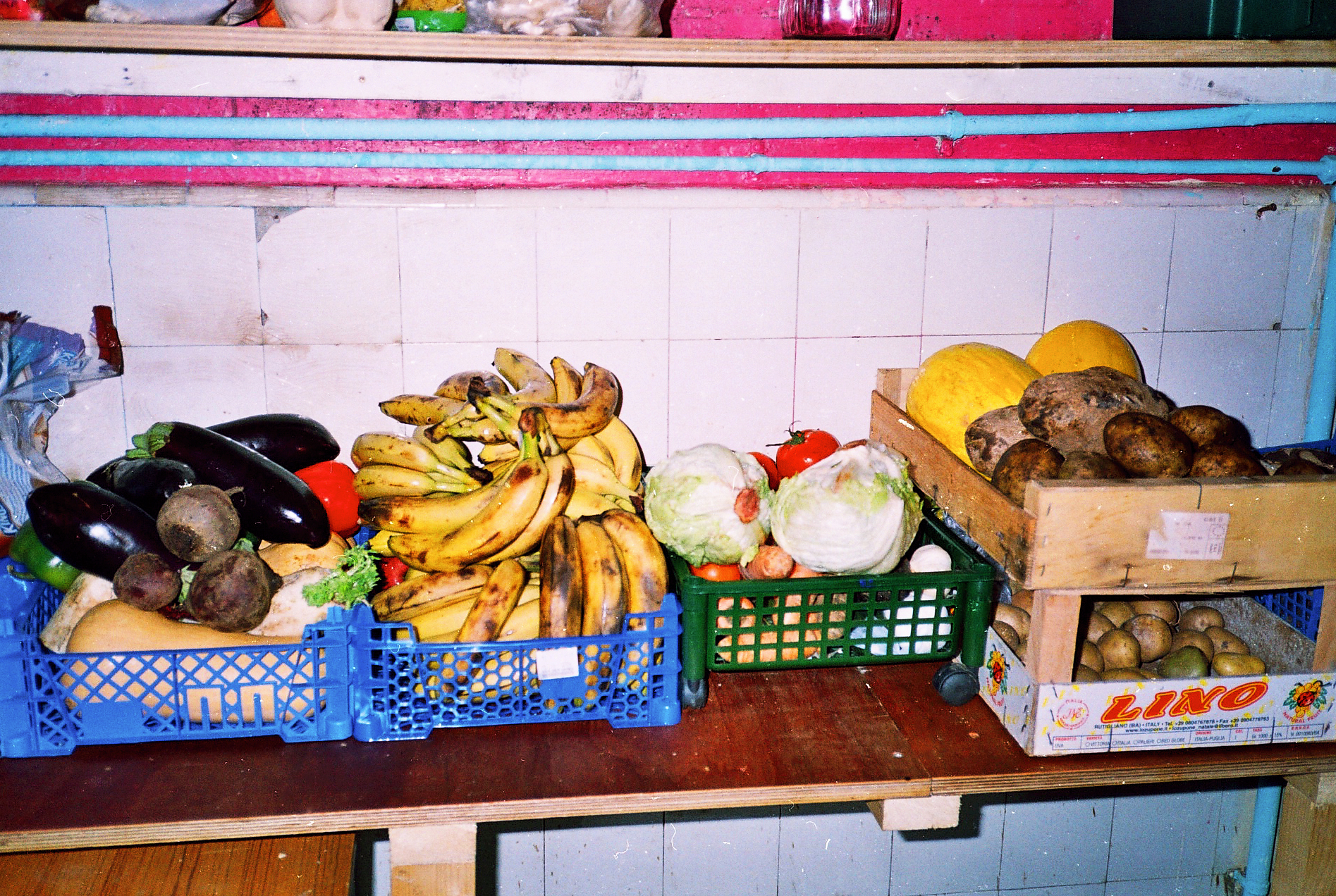 Skip na Walworth.jpg