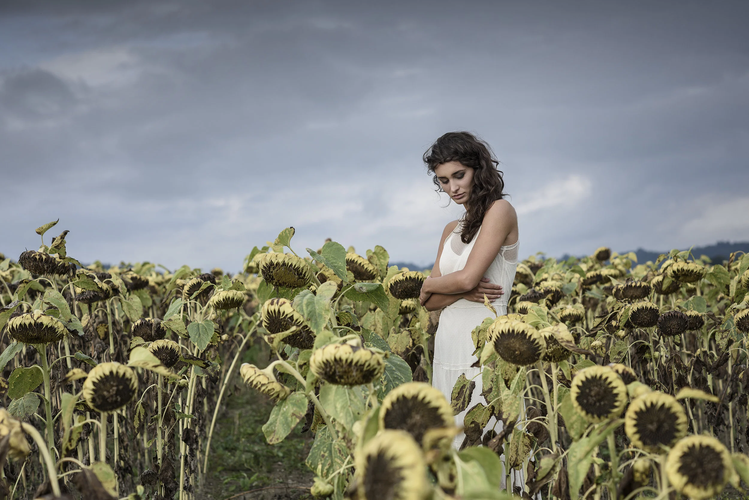 sonnenblumen_DSC6819_klein.jpg