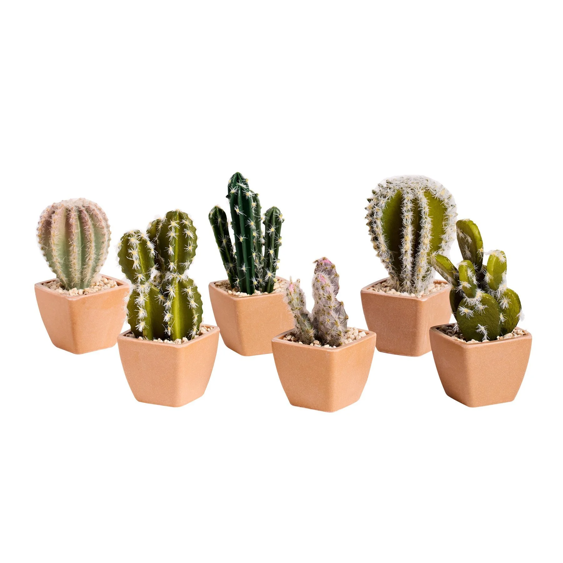MIXED CACTUS - SMALL