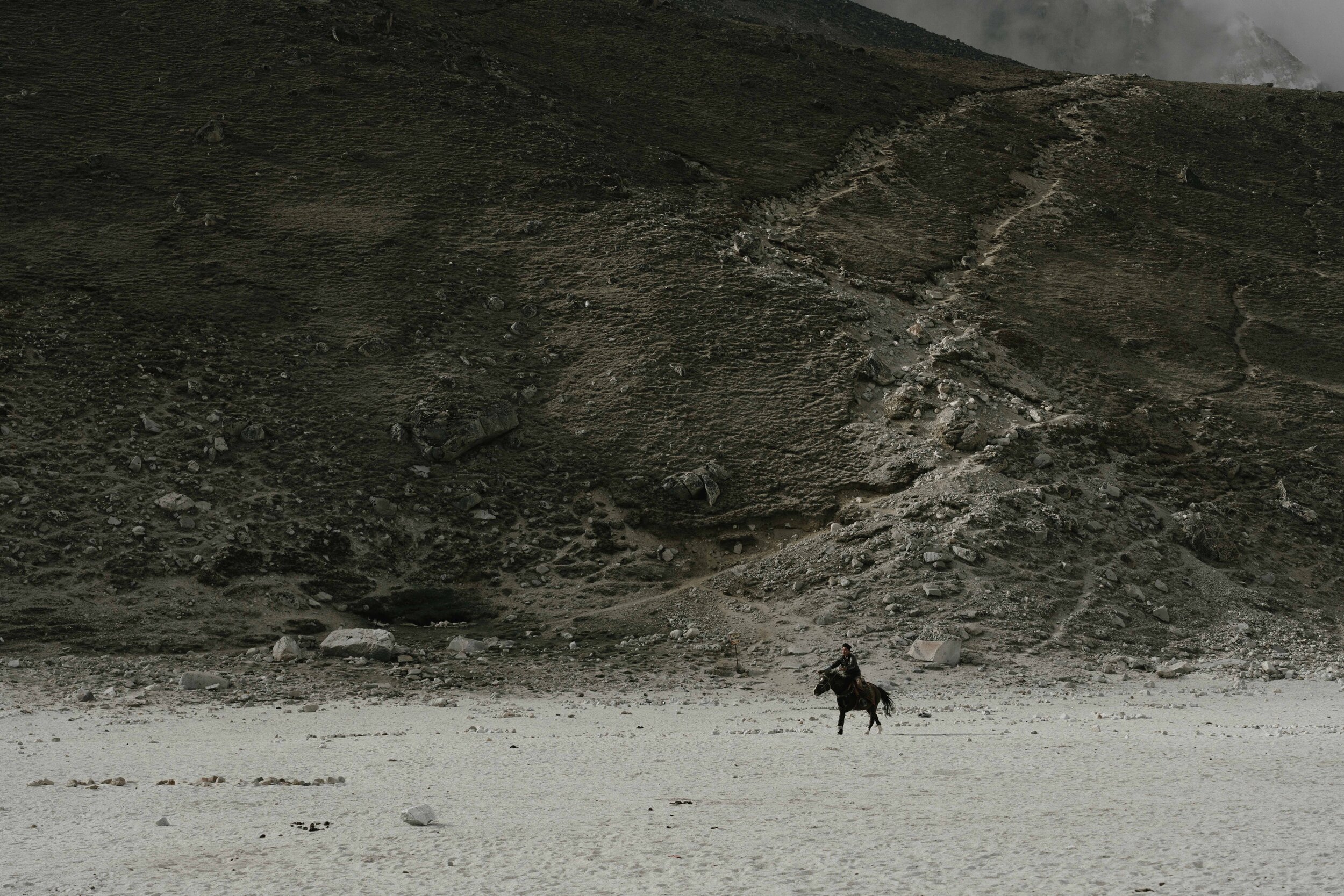 _DSC5163.jpeg