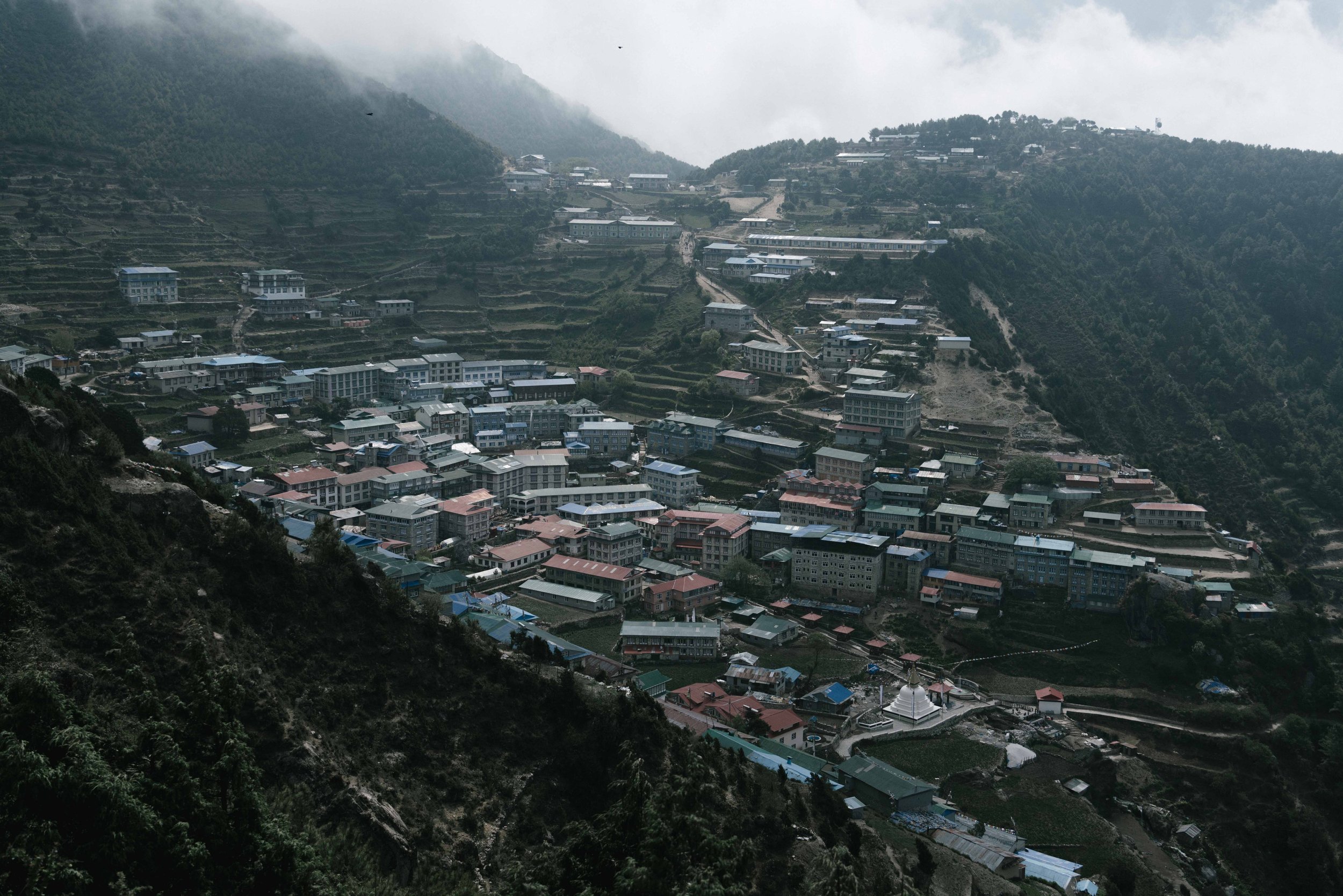 _DSC5444.jpeg