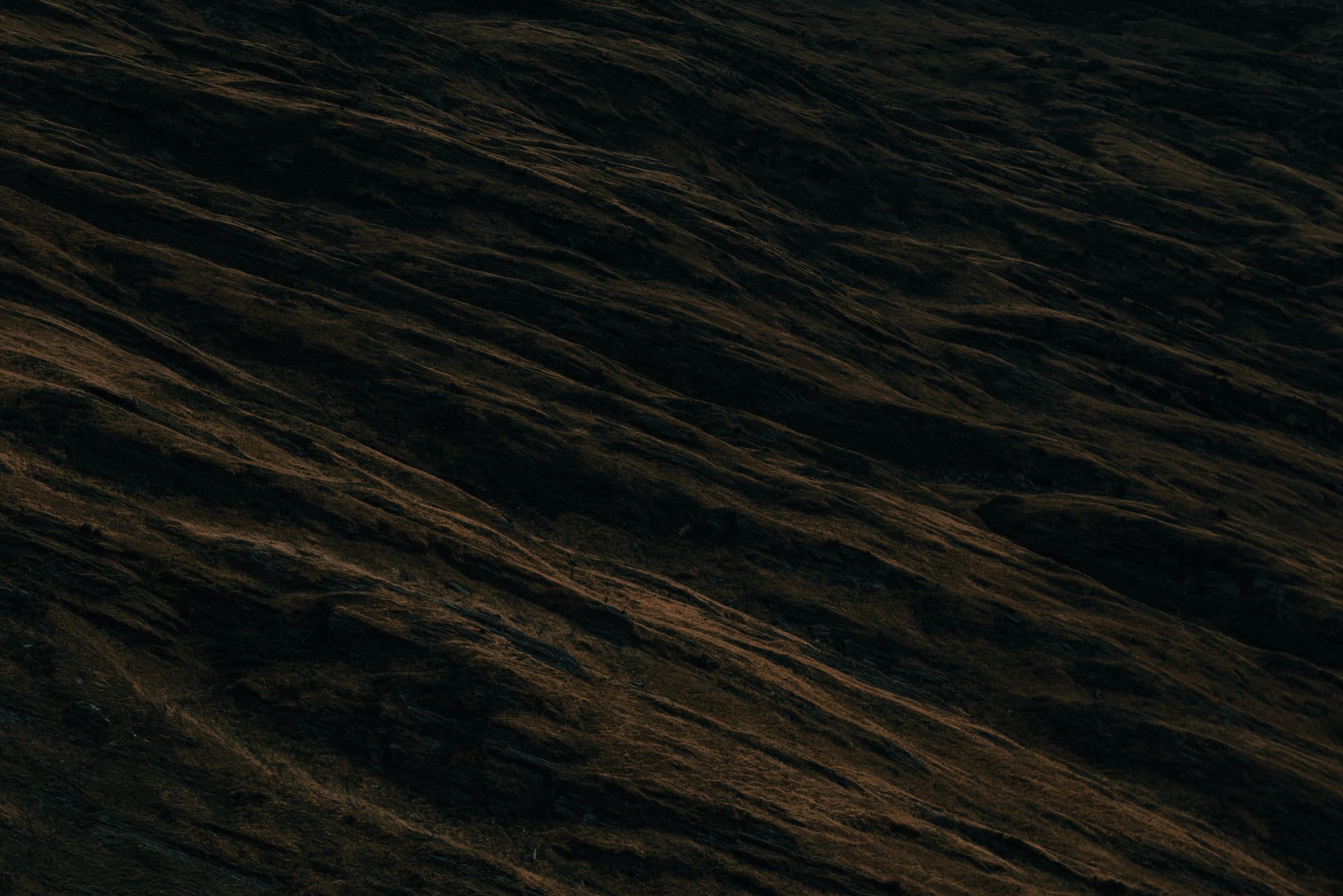 PS_PRINT_23.jpg