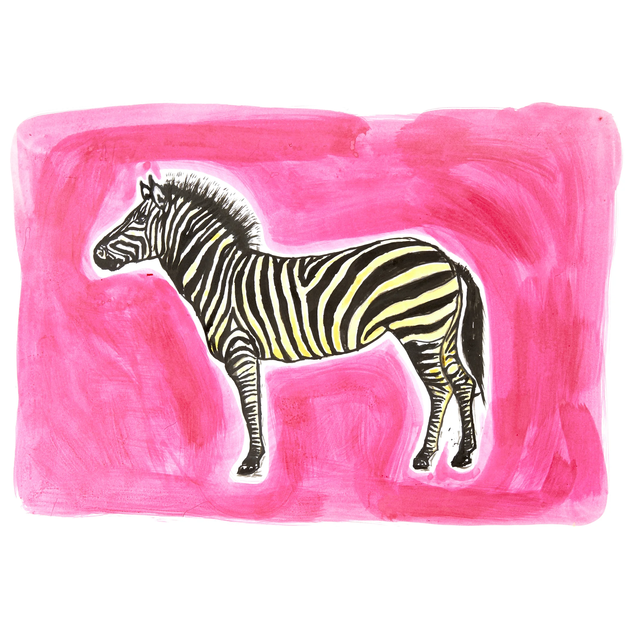 Day Dreaming Zebra Samantha Ward Art