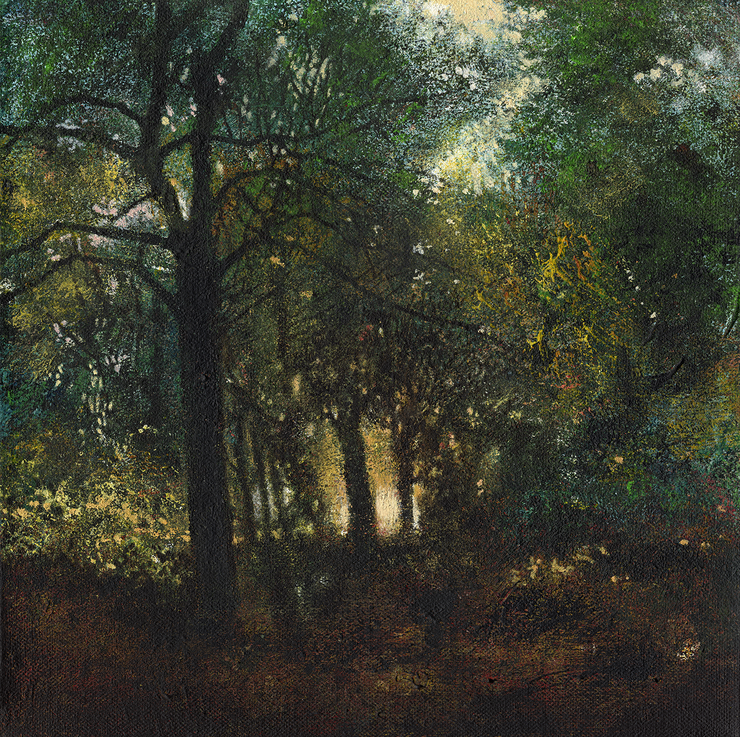 DavidLyonRPEarlyAutumnSunlight_1500px.jpg