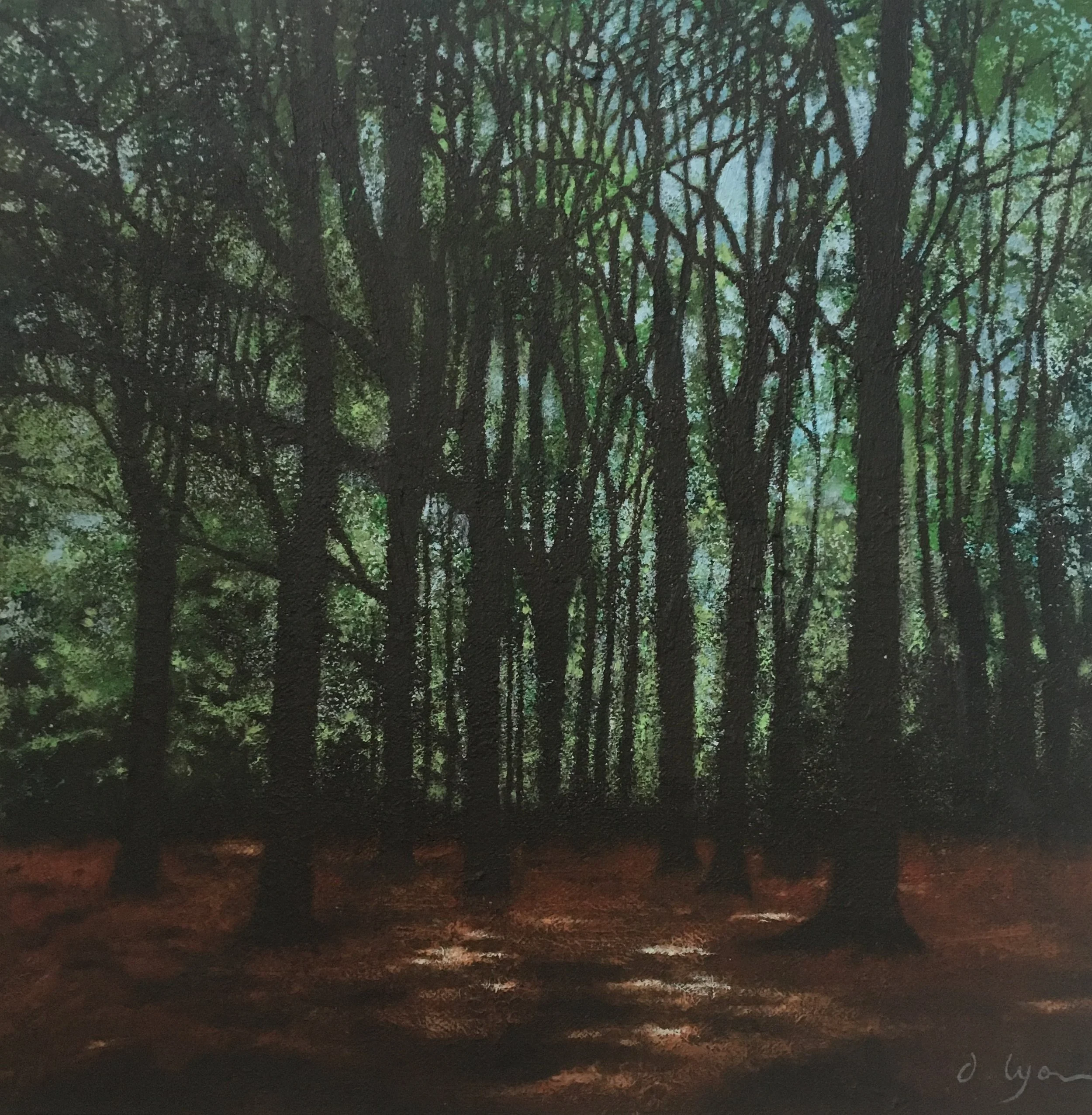 Roundhay Park: Edge of the Wood