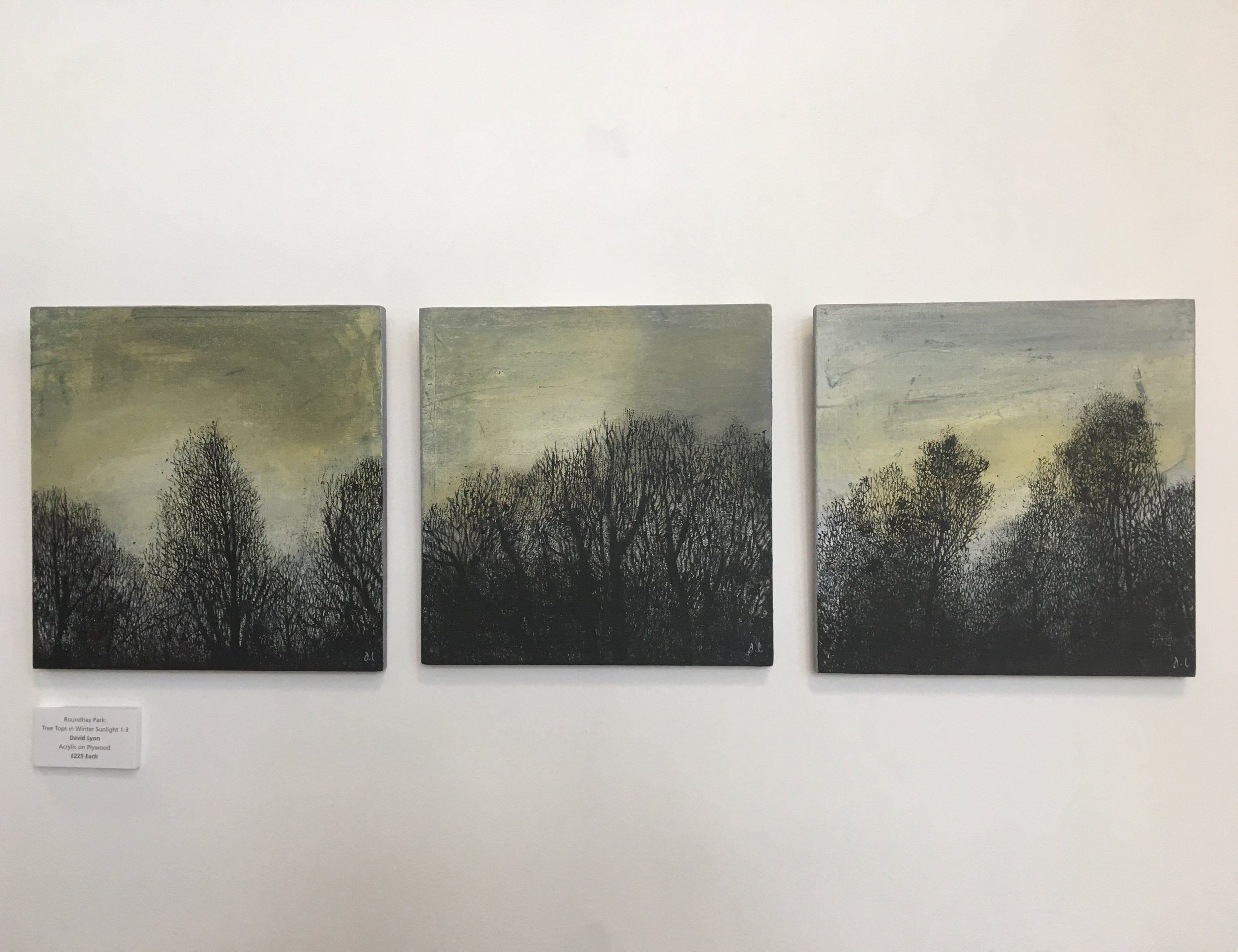 Copy of DavidLyonTreeTops
