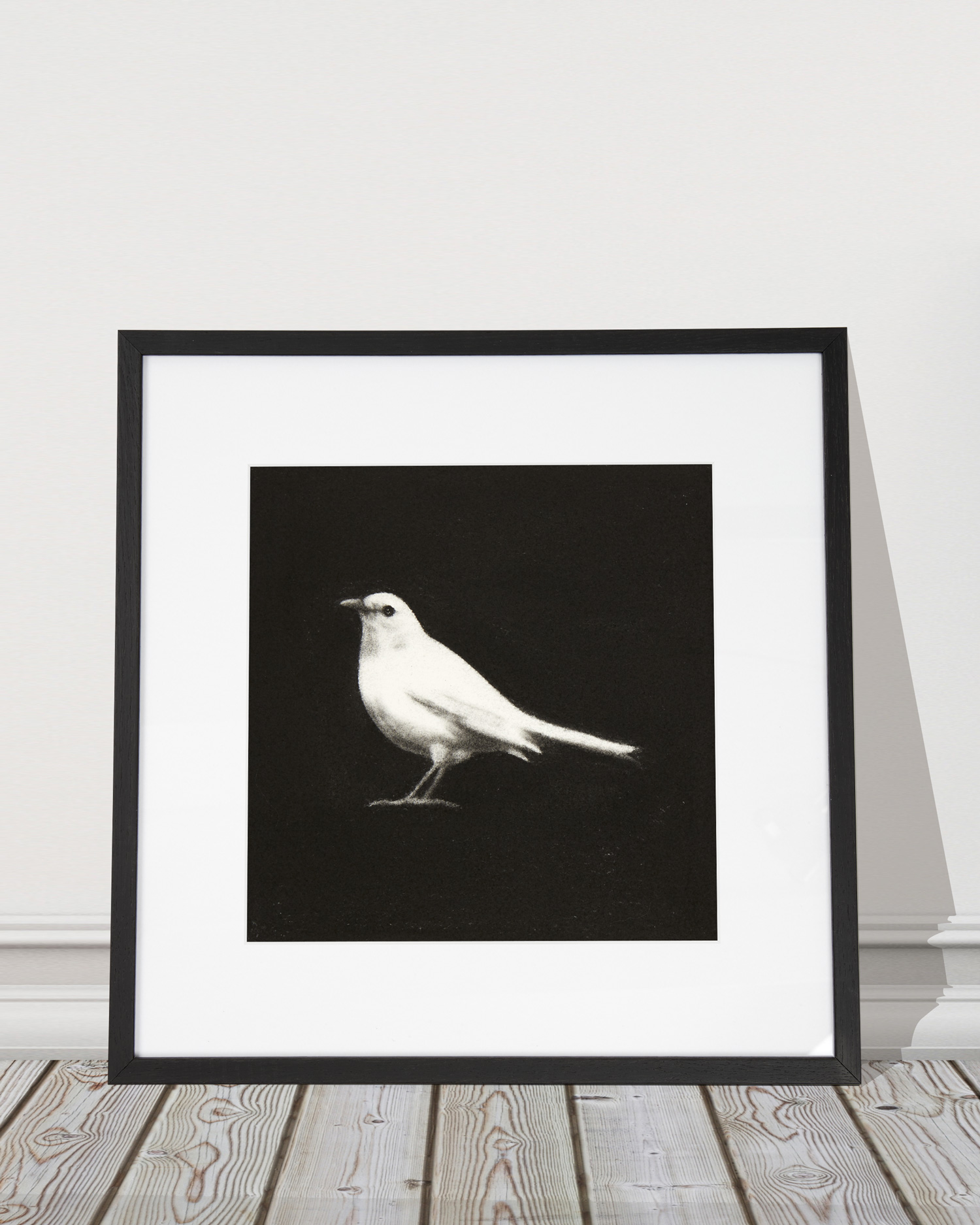 White-Blackbird-1500px.jpg