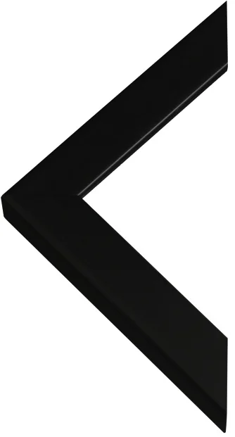 Classic black frame chevron.jpg