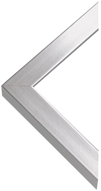 Classic silver frame.jpg