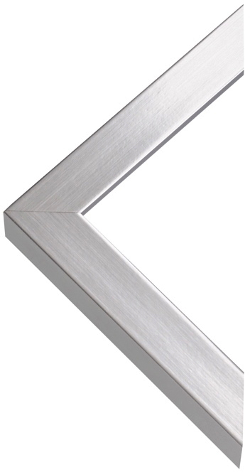 Classic silver frame.jpg