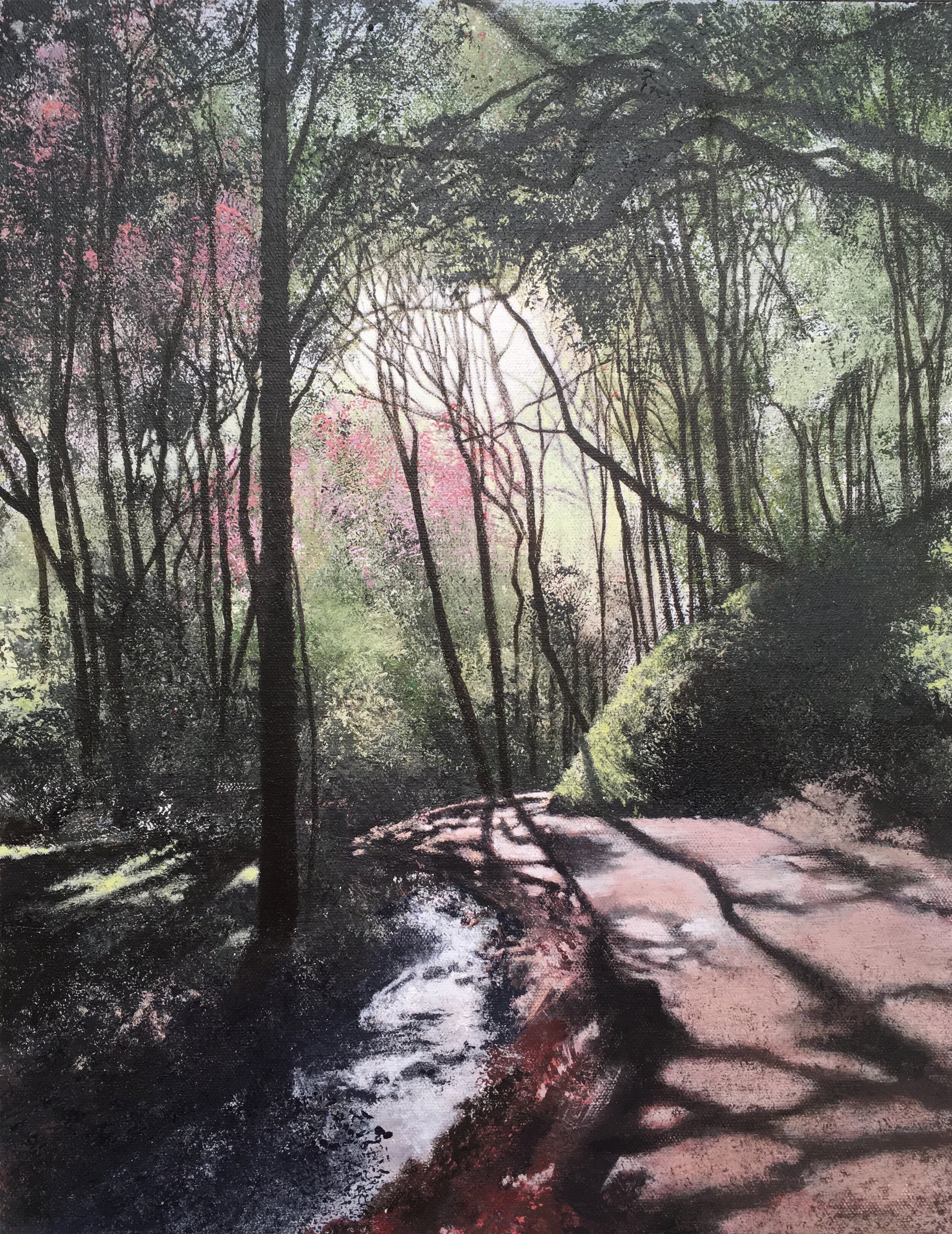 David+Lyon+Roundhay+Park+Spring+TheRavine.jpeg