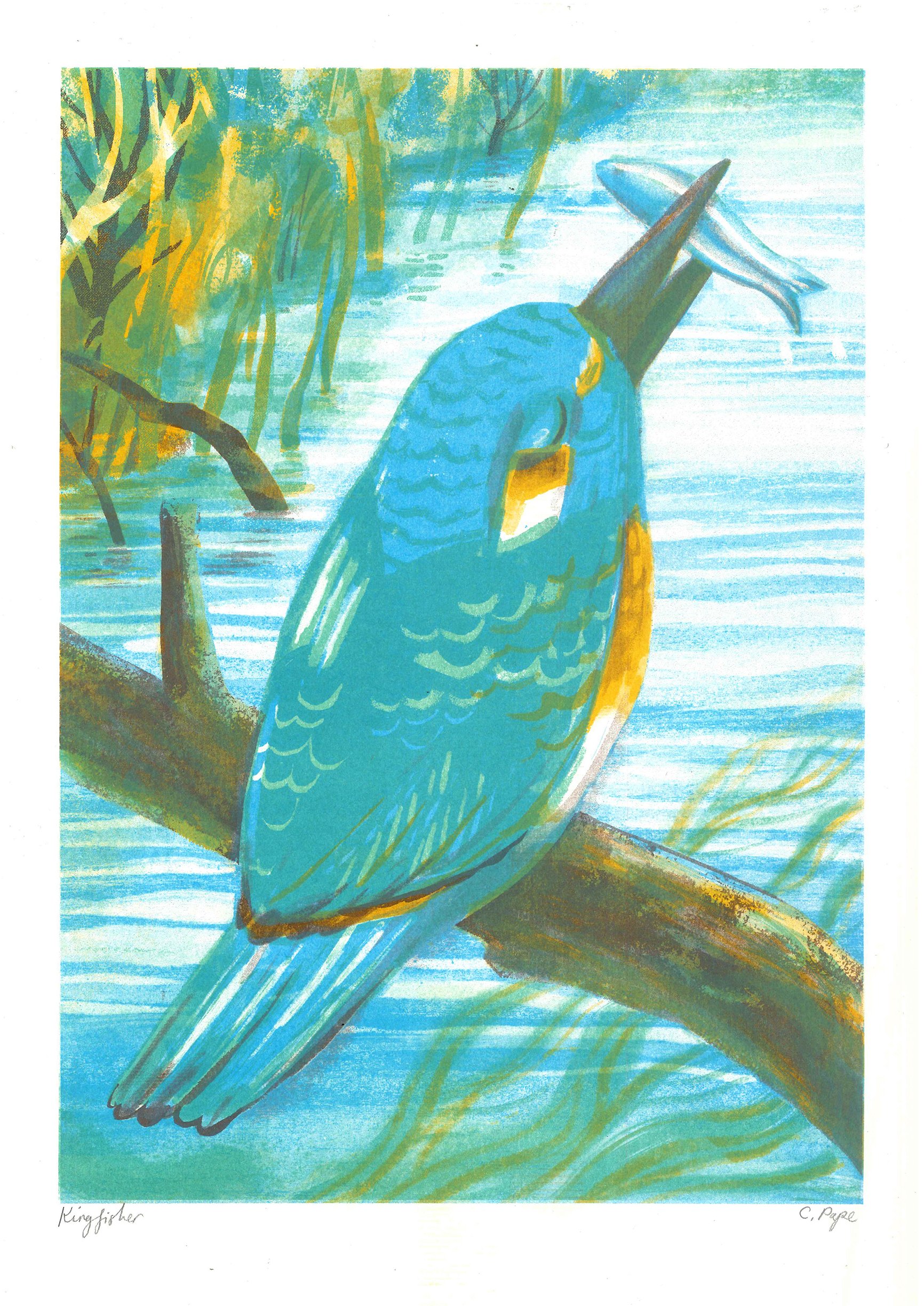 CatherinePape+kingfisherscan.jpg