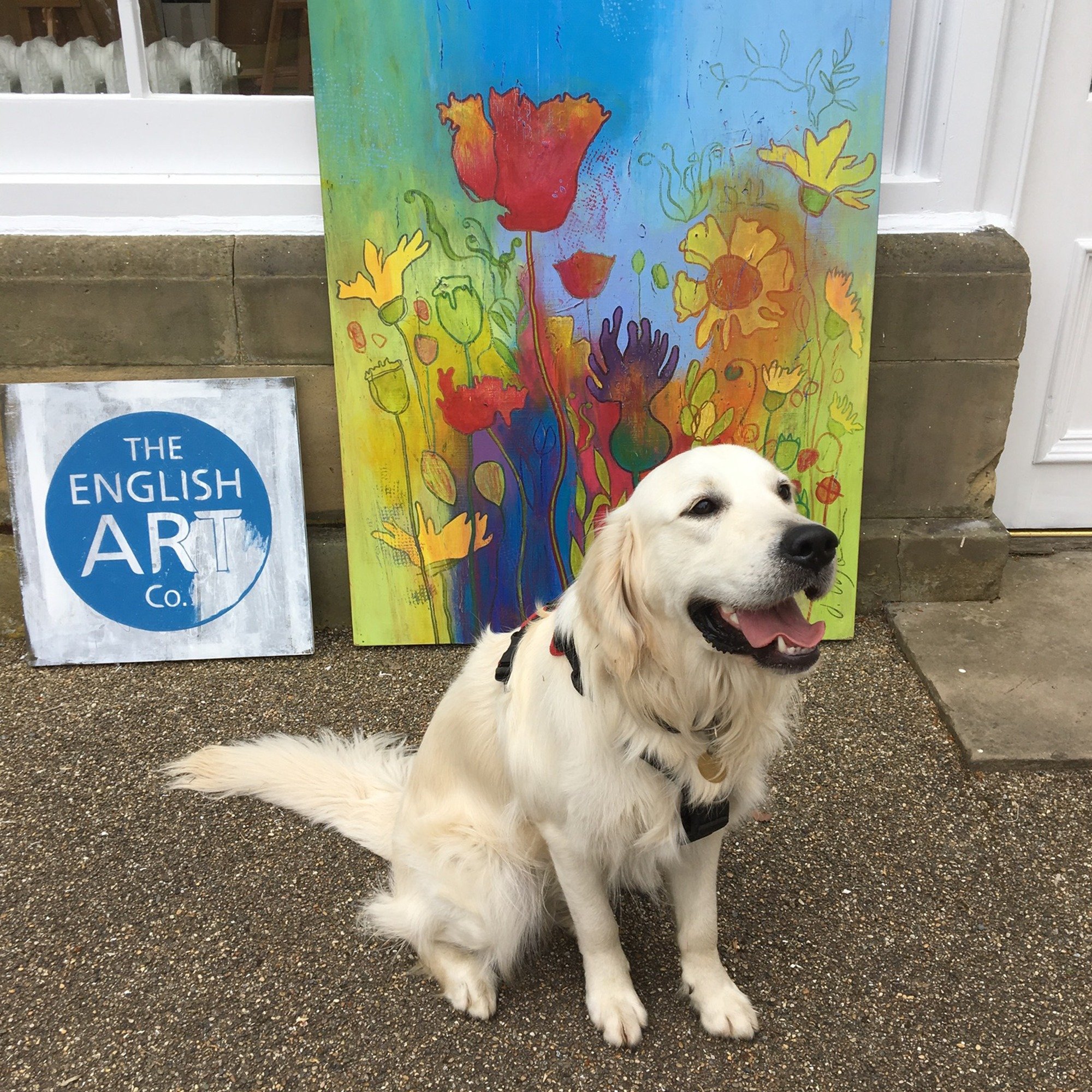 Because dogs can be art lovers too, right? 🐶

In case you didn't know, we LOVE being a dog friendly gallery. All we ask is that your furry friend doesn't sniff too close to the artworks. And that their paws have been cleaned from all that playing th