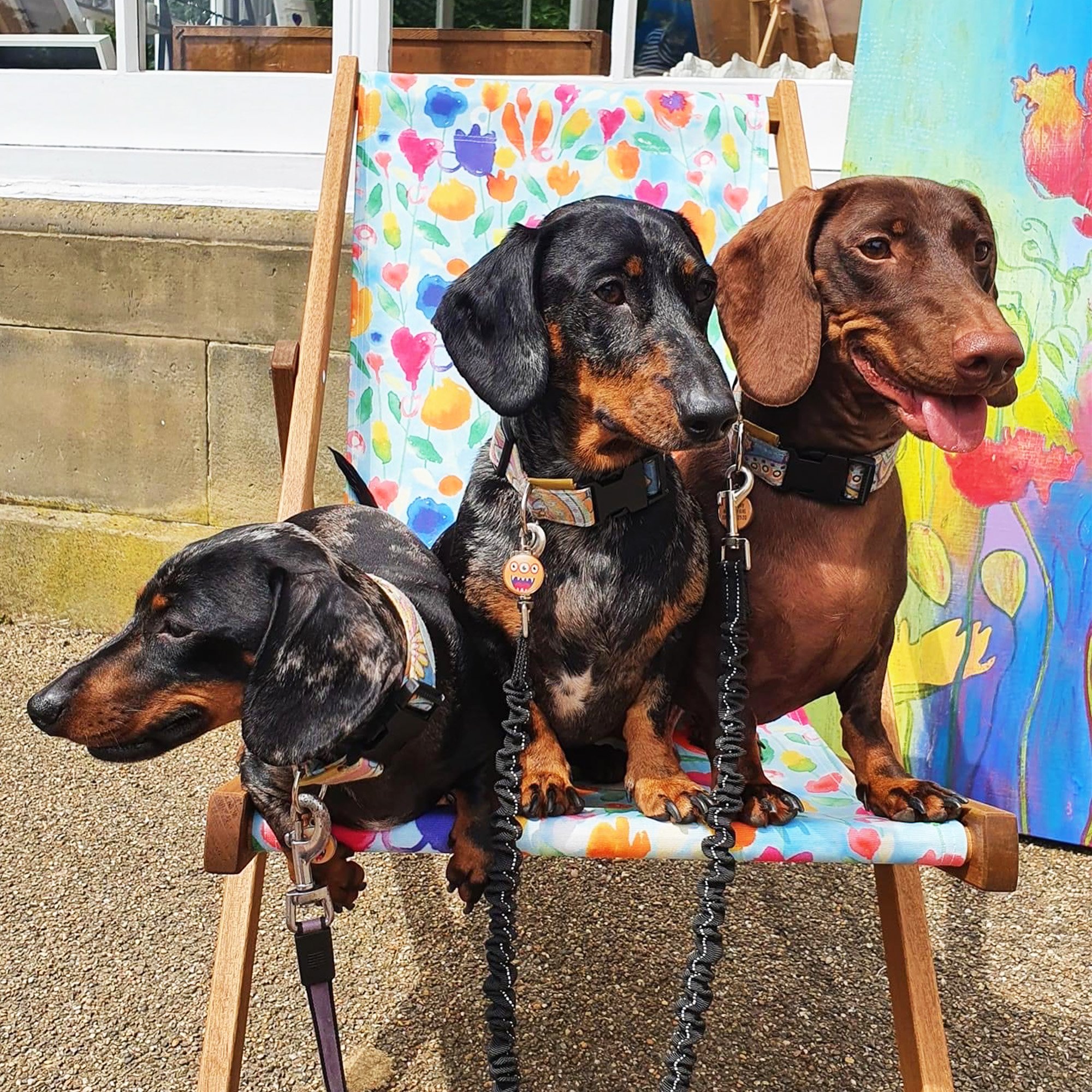 For anyone who thought our deckchairs were made for humans, we apologise for any confusion caused... 🐶

Just kidding, you and your pup can enjoy the sunny weather together, if they'll make  room for you that is! ☀️

Our pre-order window for deckchai