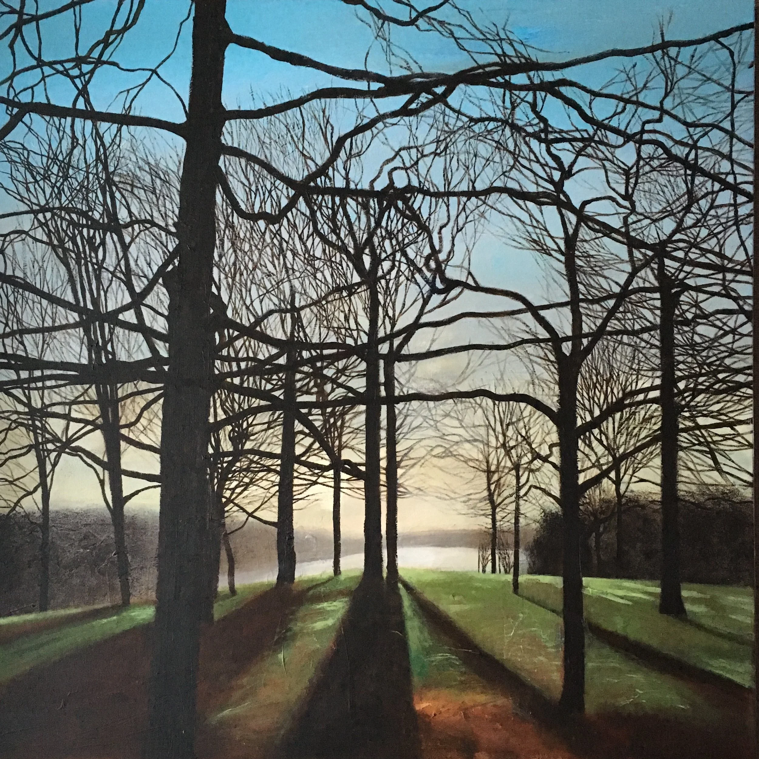 DavidLyonRoundhayParkThroughTheTreesWaterlooLake.JPG