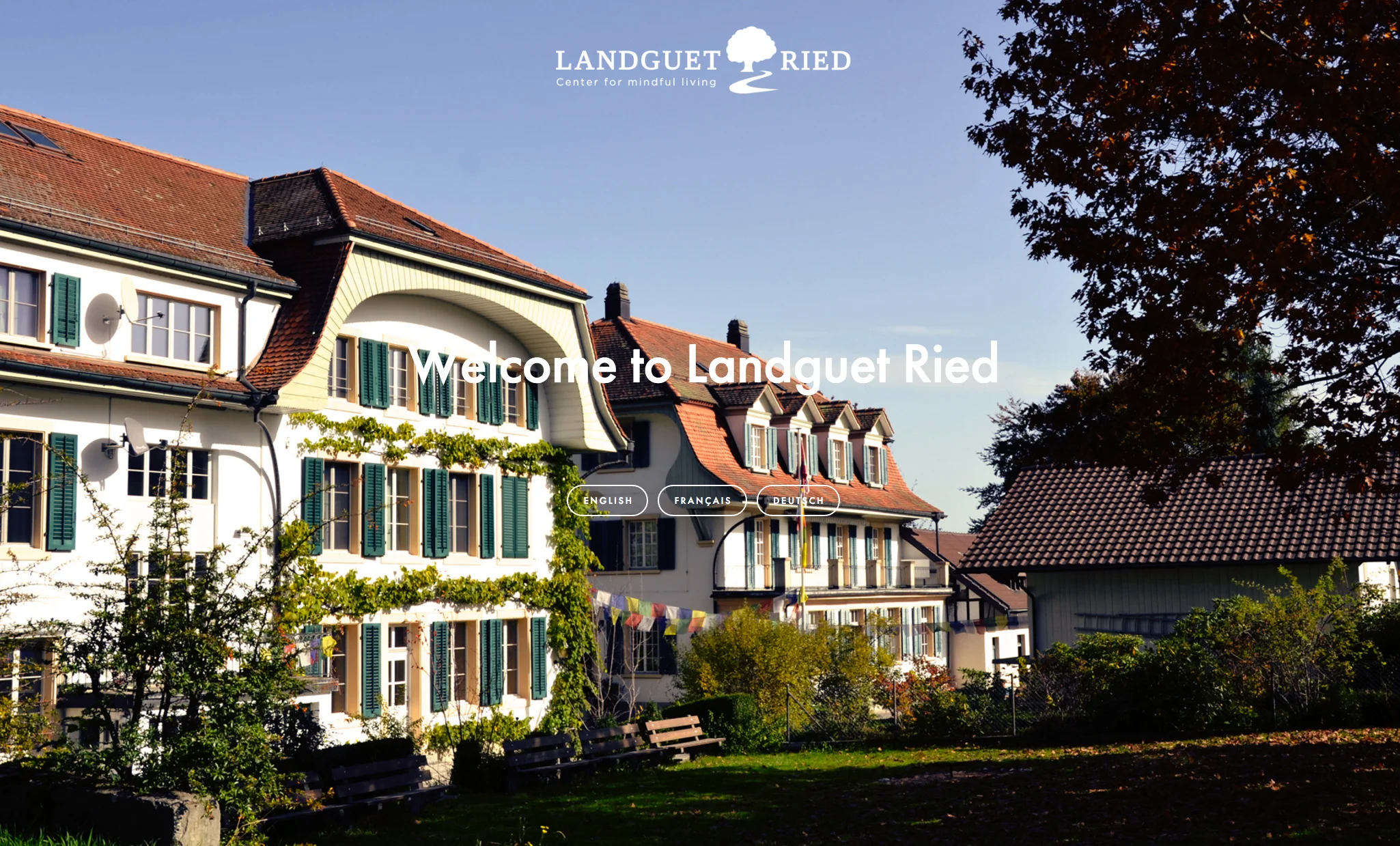 Site Internet (Refonte complète) Landguet Ried