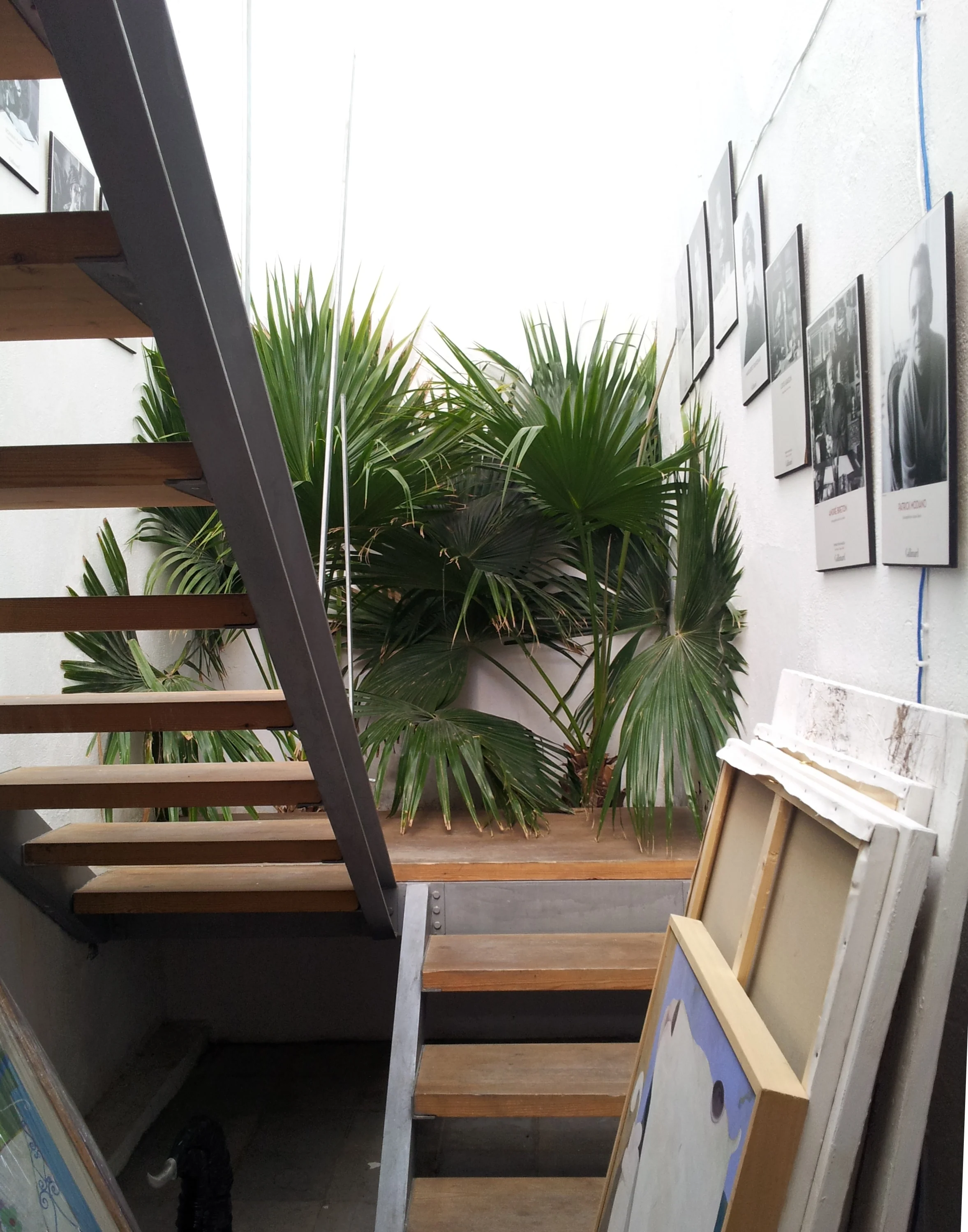 2012-06-13 08.44.00.jpg