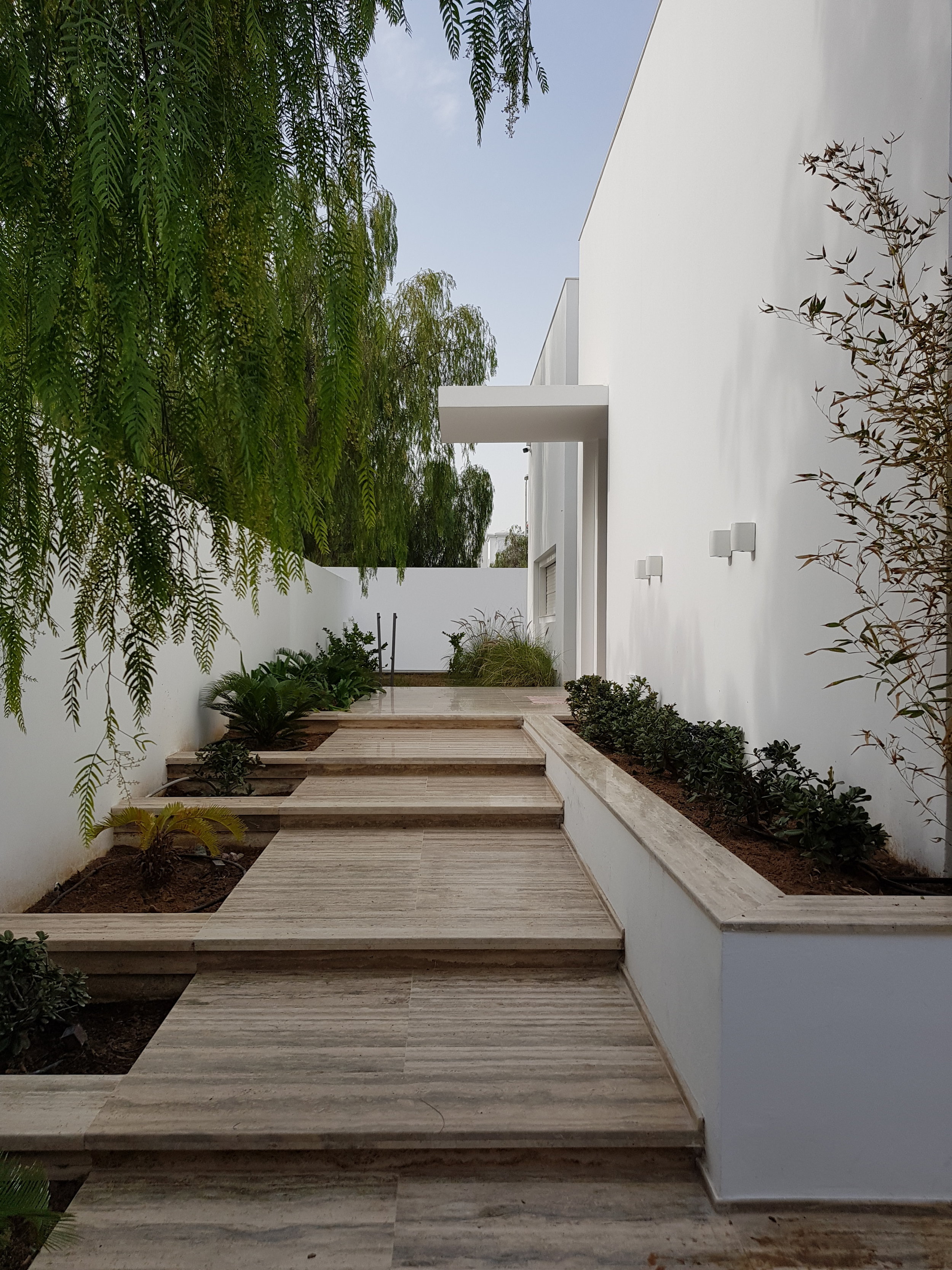 2018-02-01 14.56.15.jpg