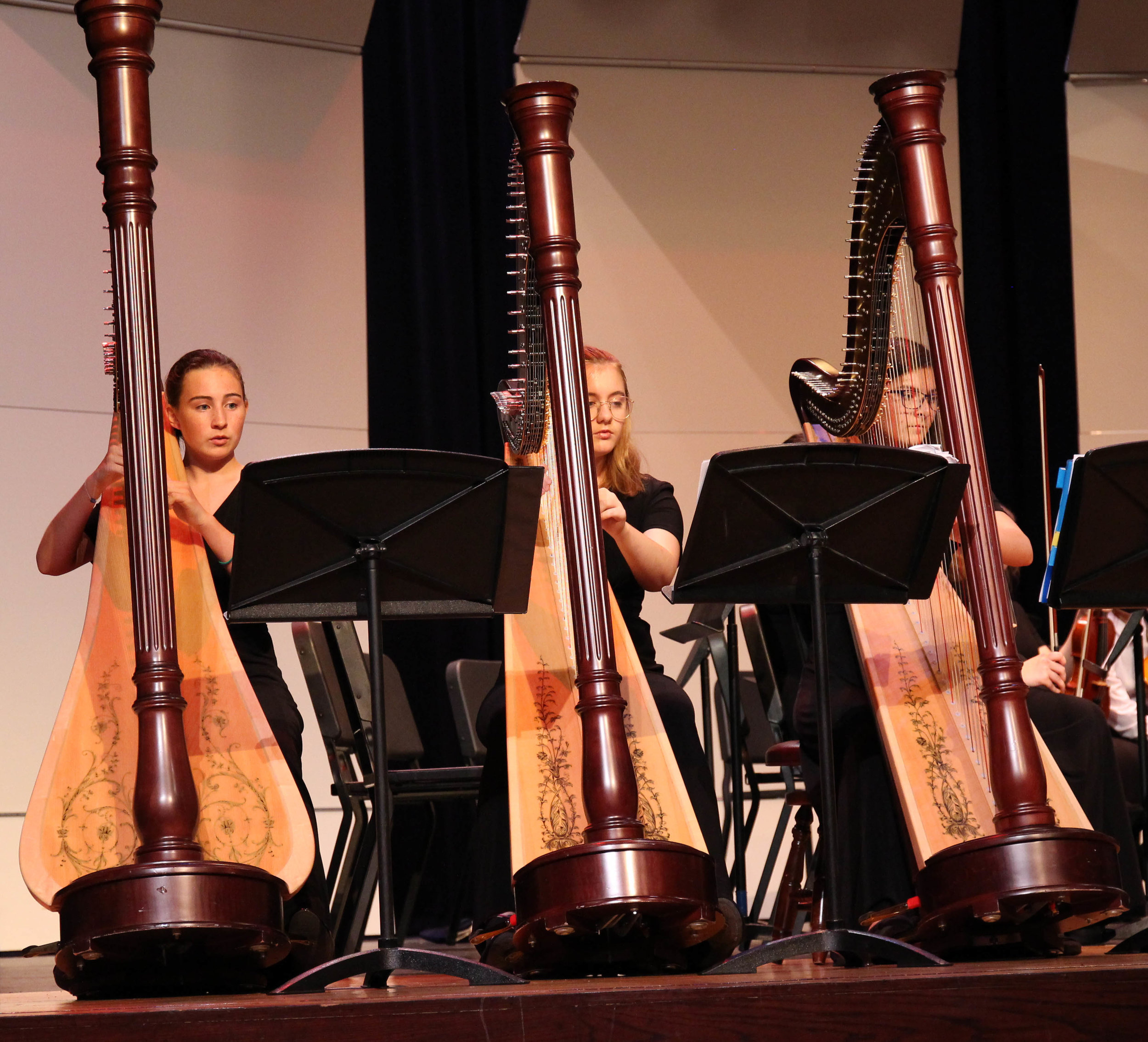 Harps concert 10-16-18.jpg