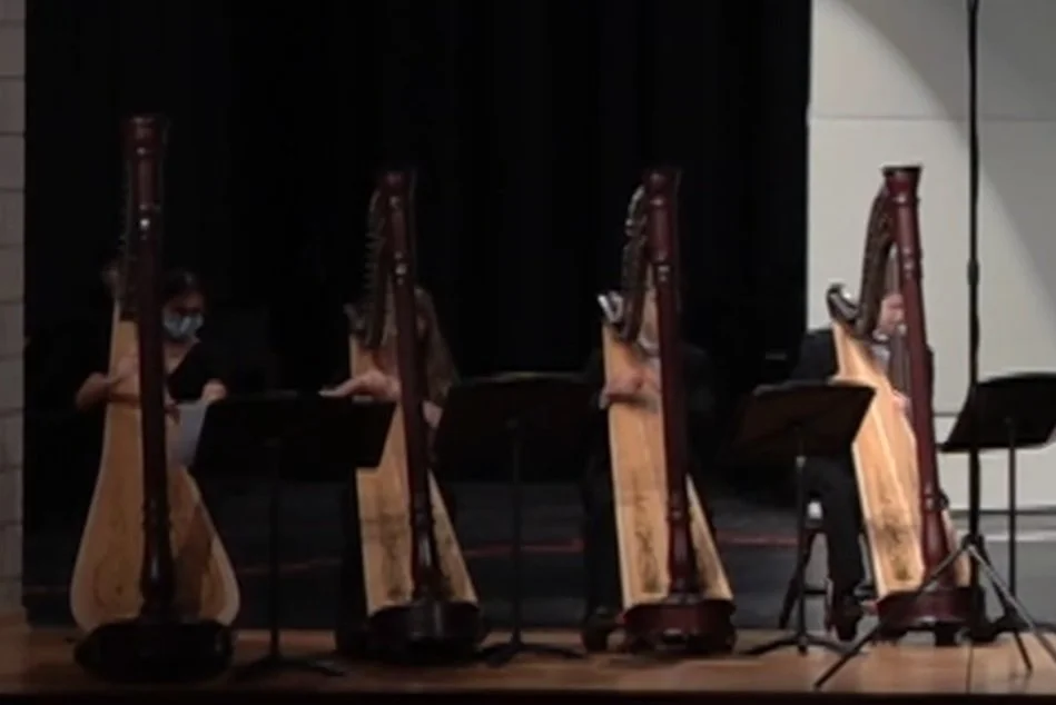 WJSO Chamber Harps