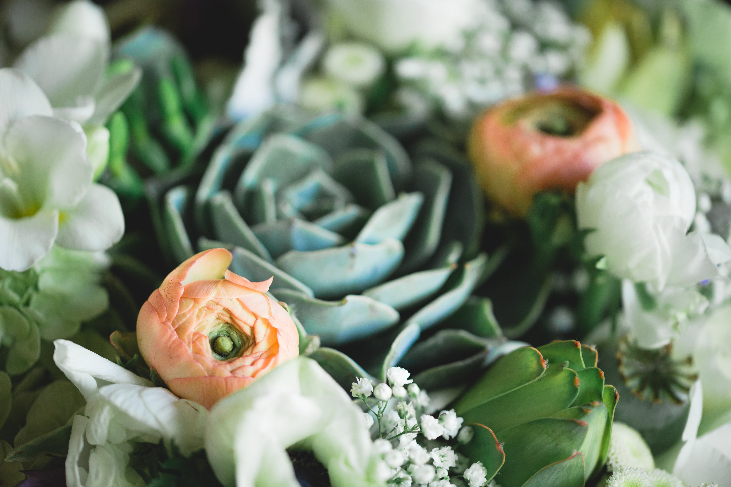 Adore Wedding Photography-13345.jpg