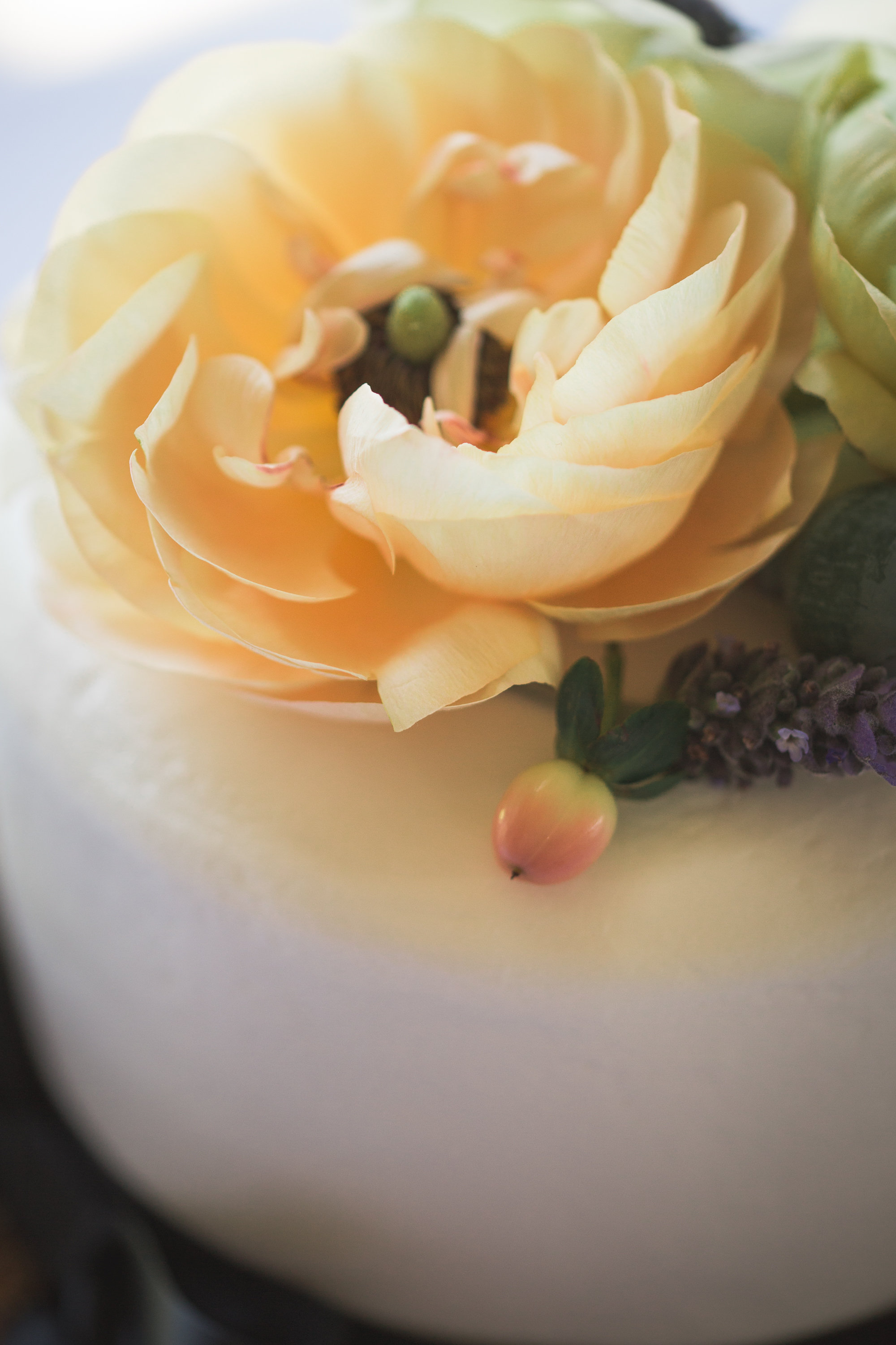 Adore Wedding Photography-13434.jpg